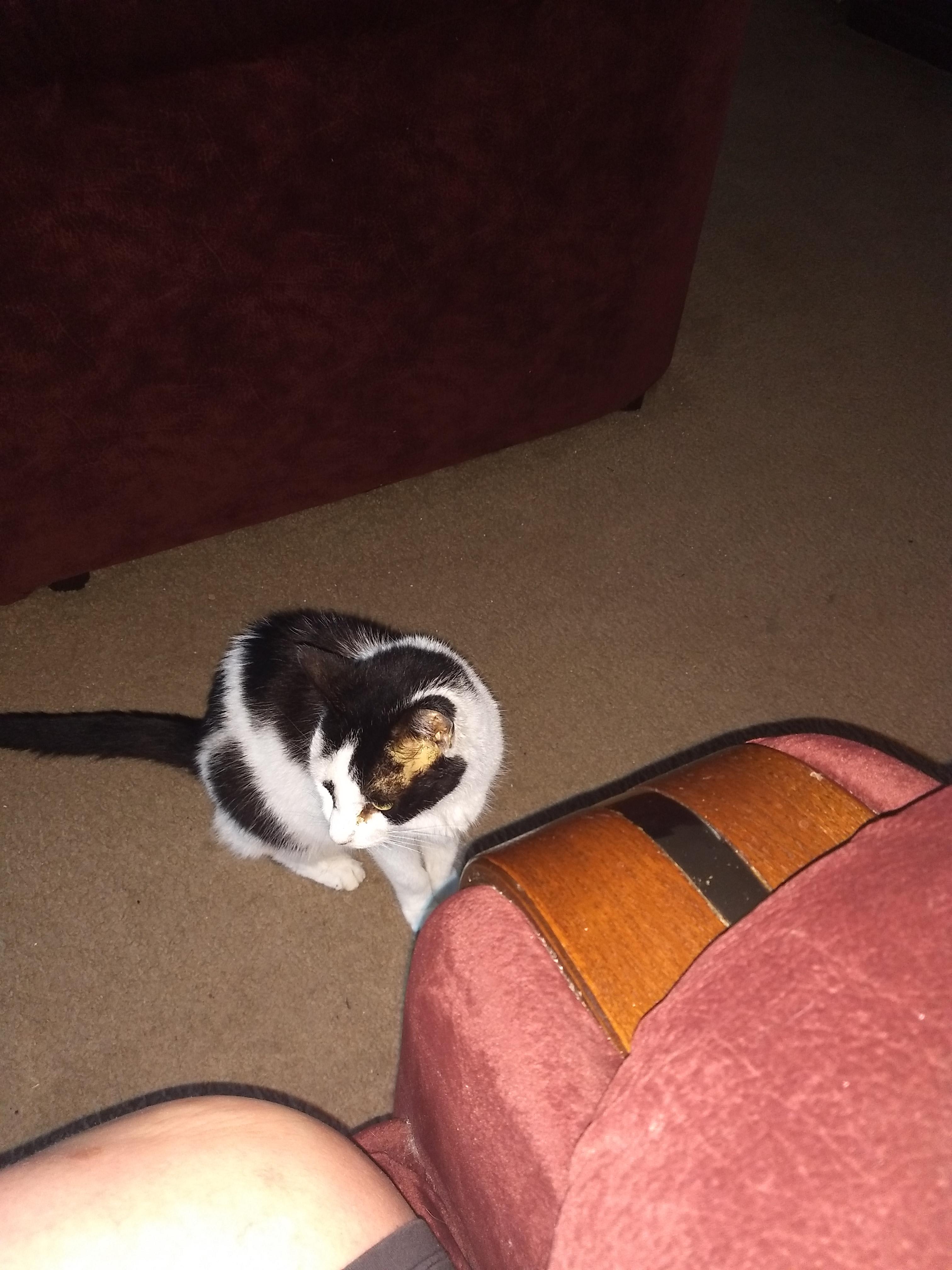 Question details sensitive content