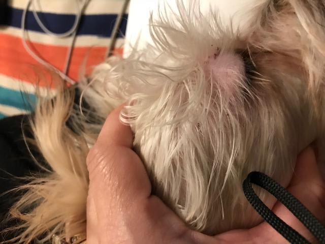 Question details sensitive content