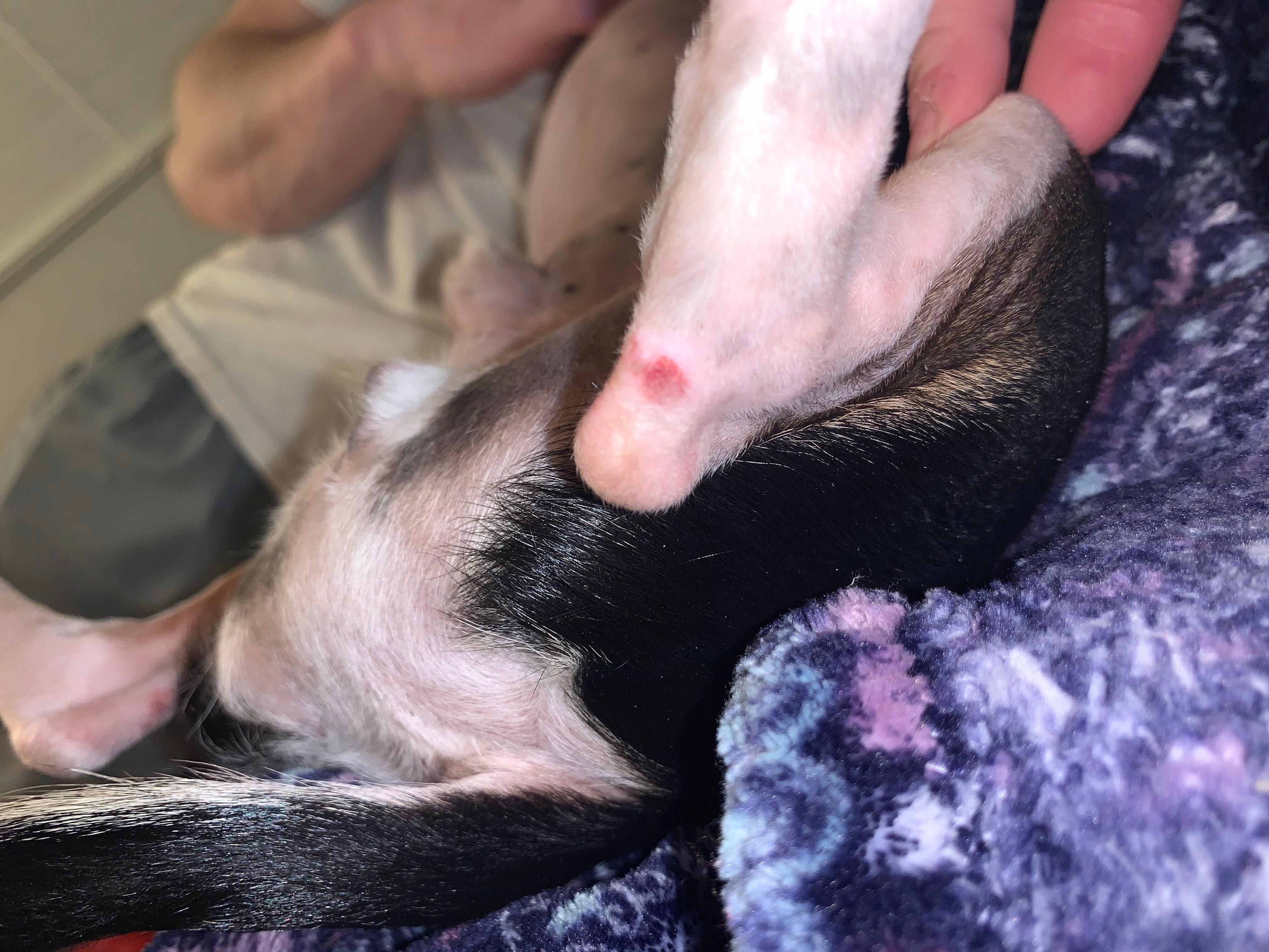 Question details sensitive content