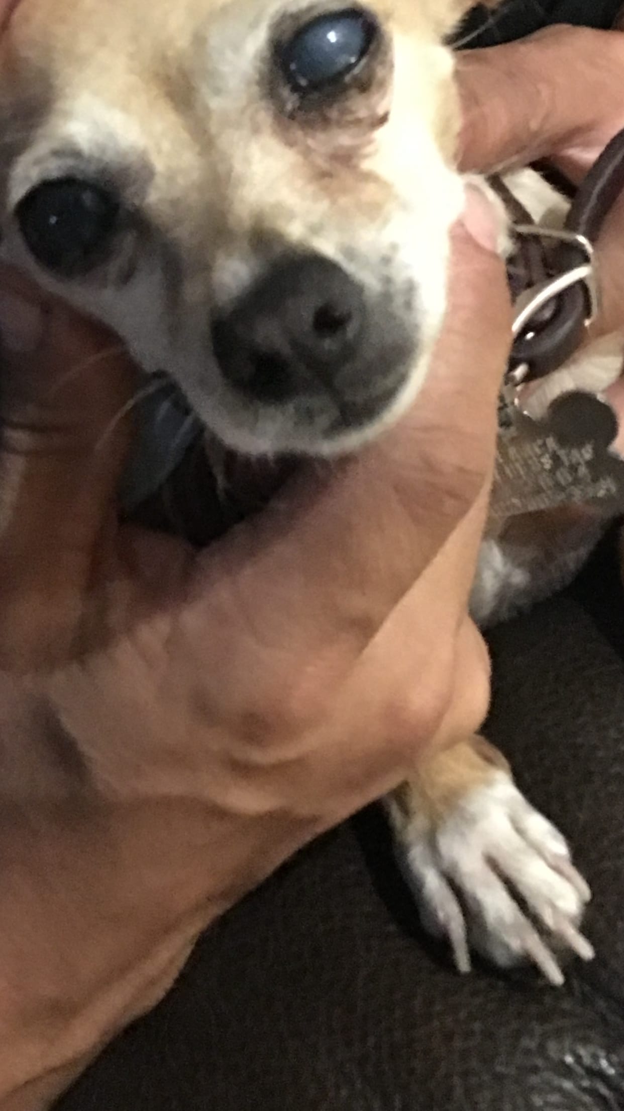 Question details sensitive content