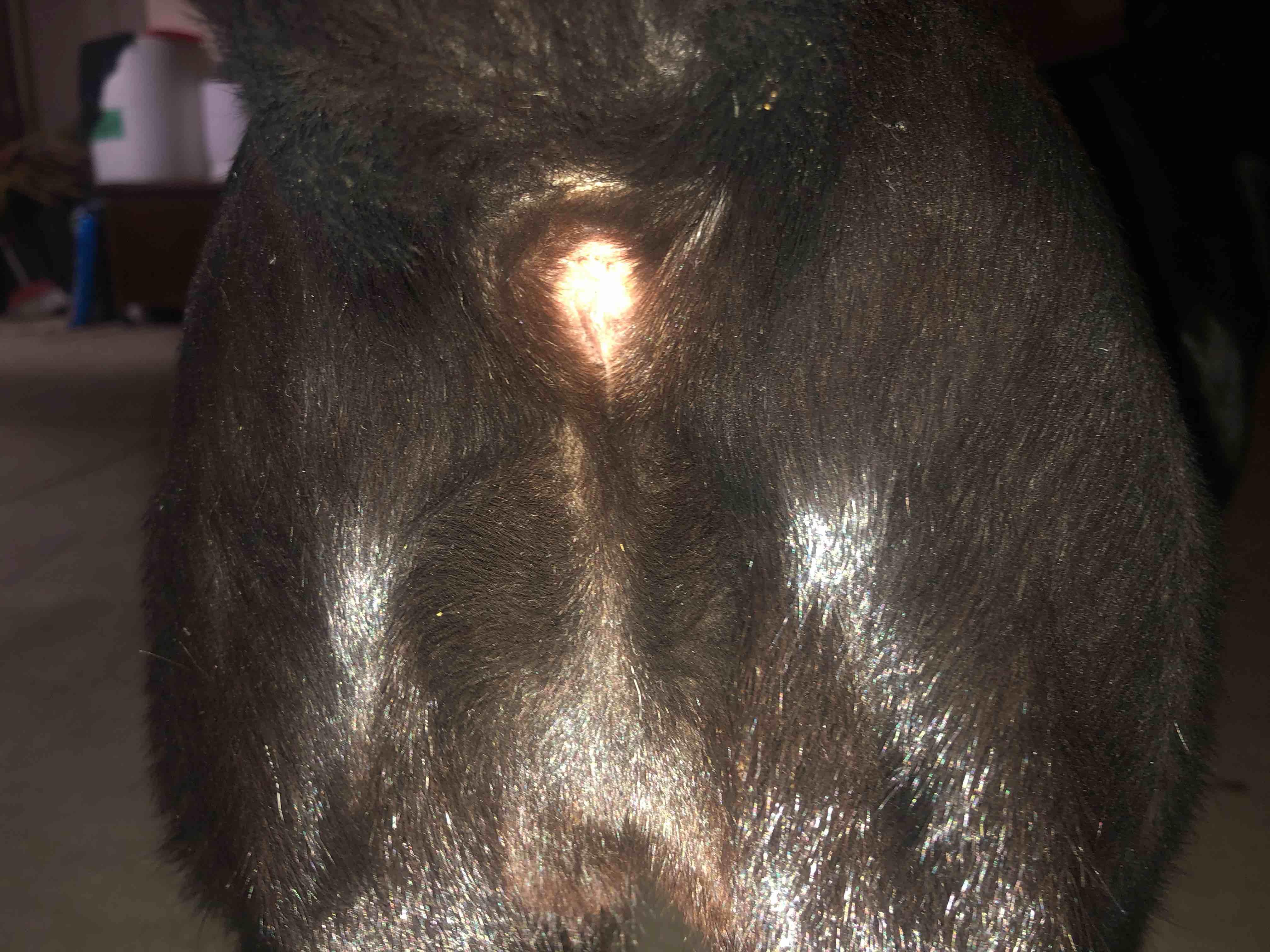 Question details sensitive content