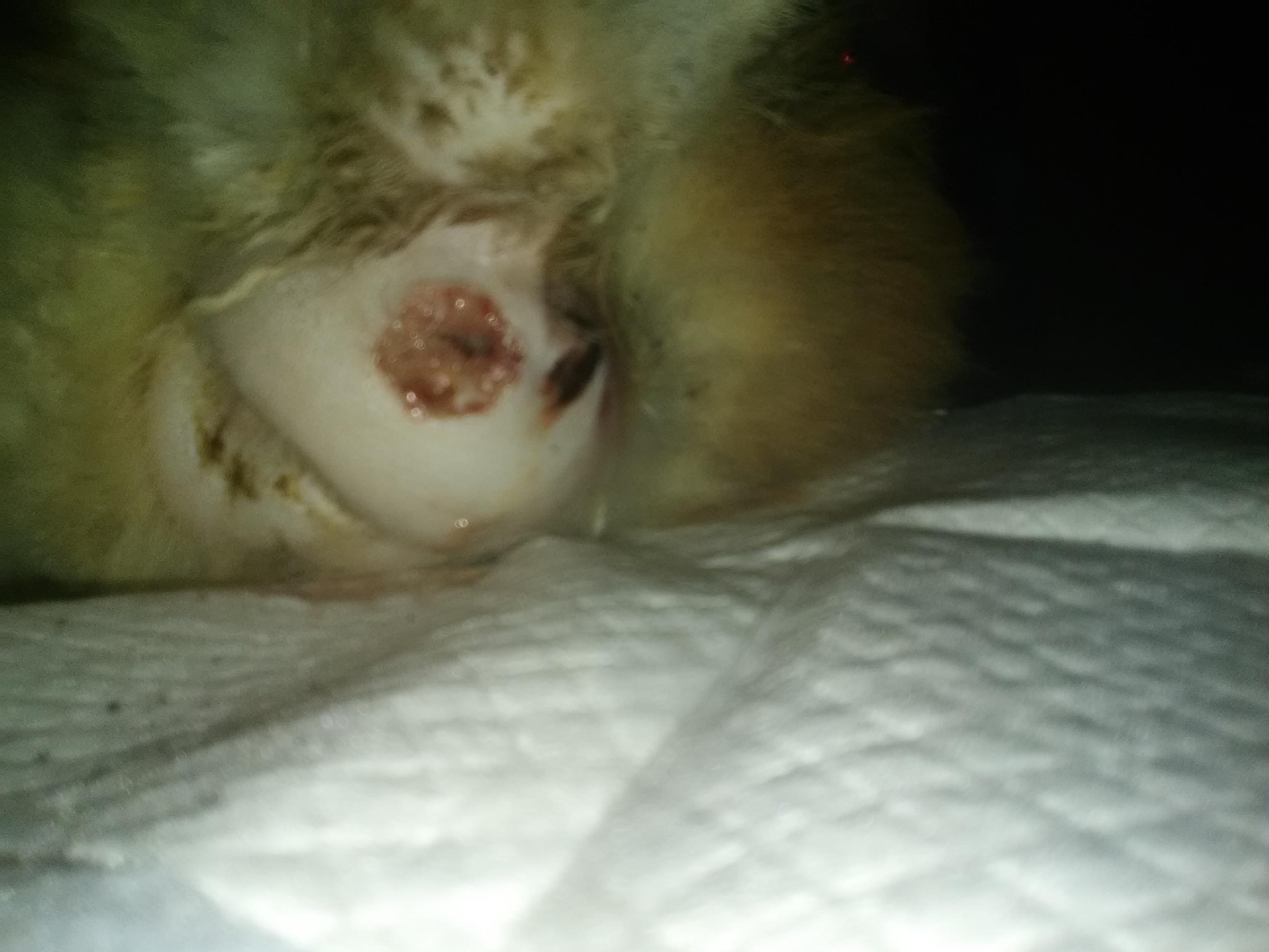 Question details sensitive content