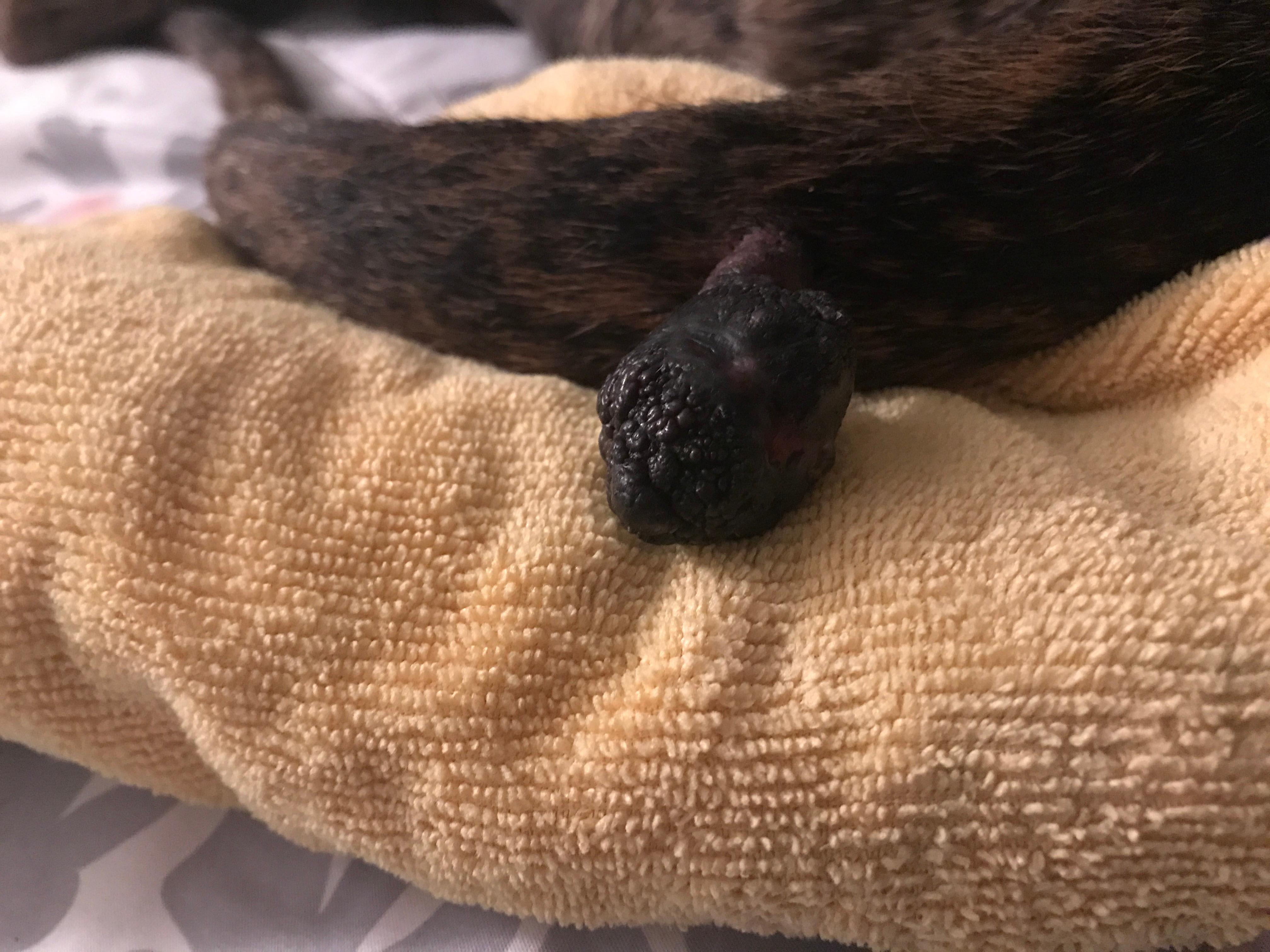 Question details sensitive content