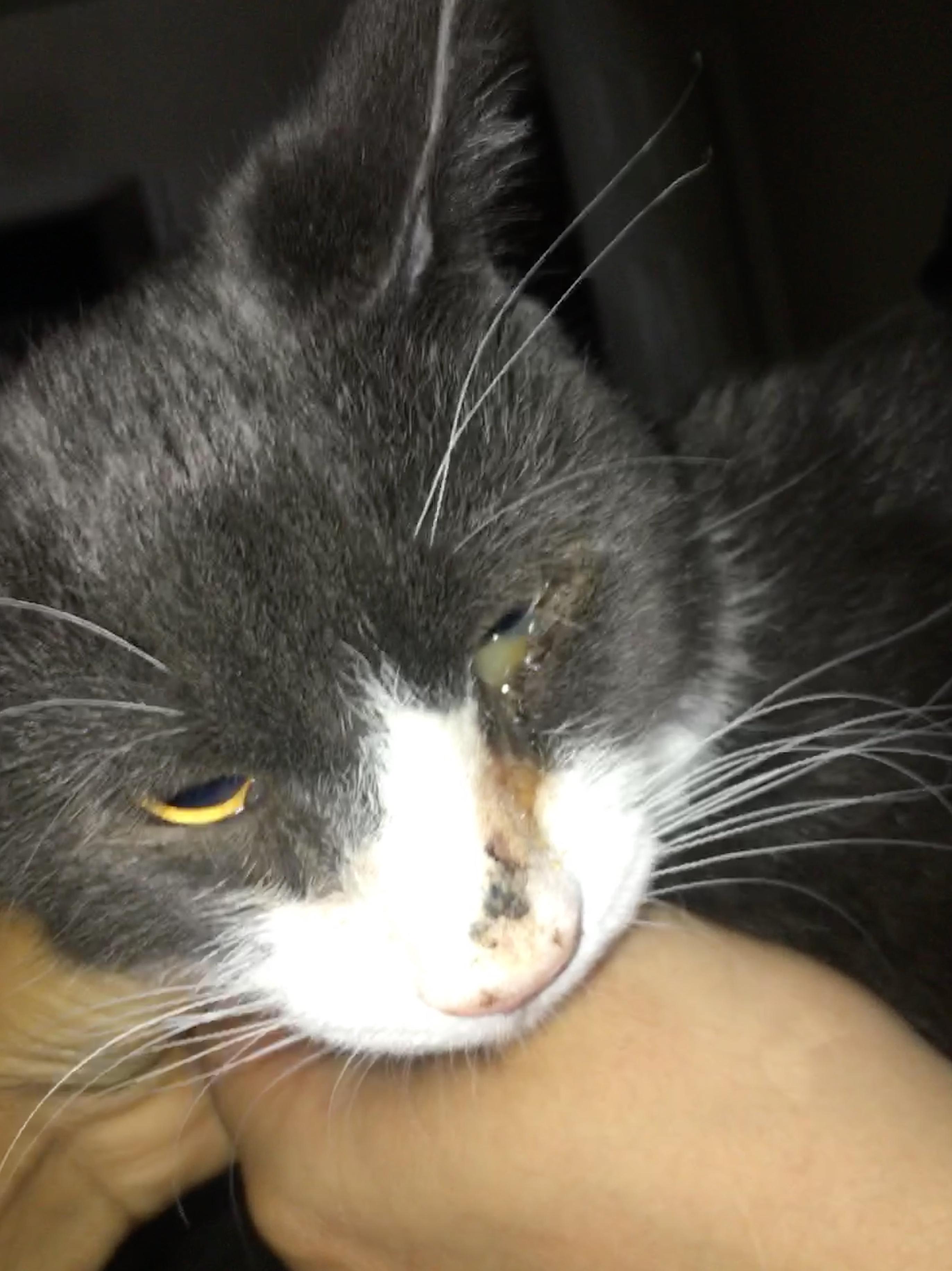 Question details sensitive content