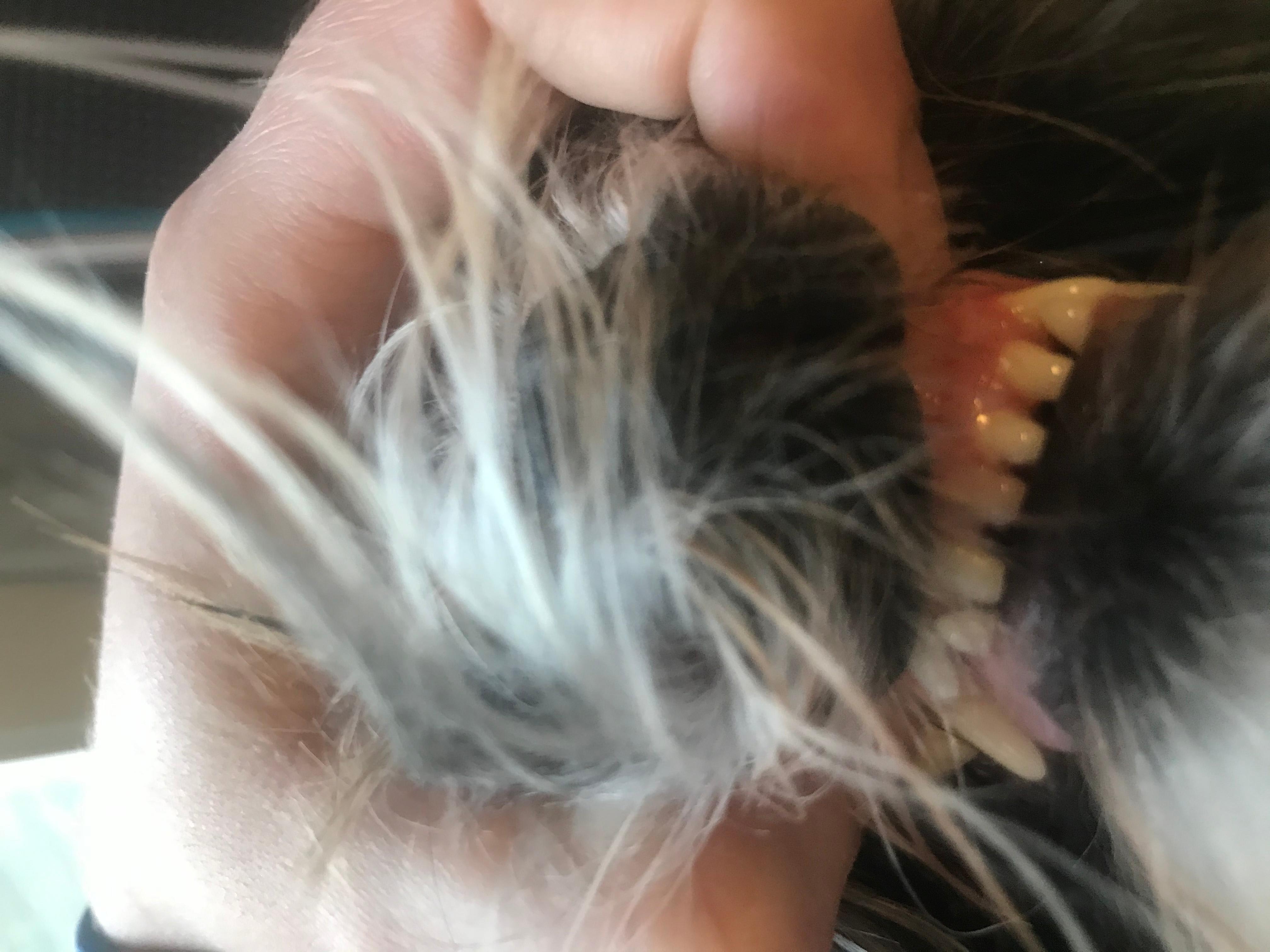 Question details sensitive content