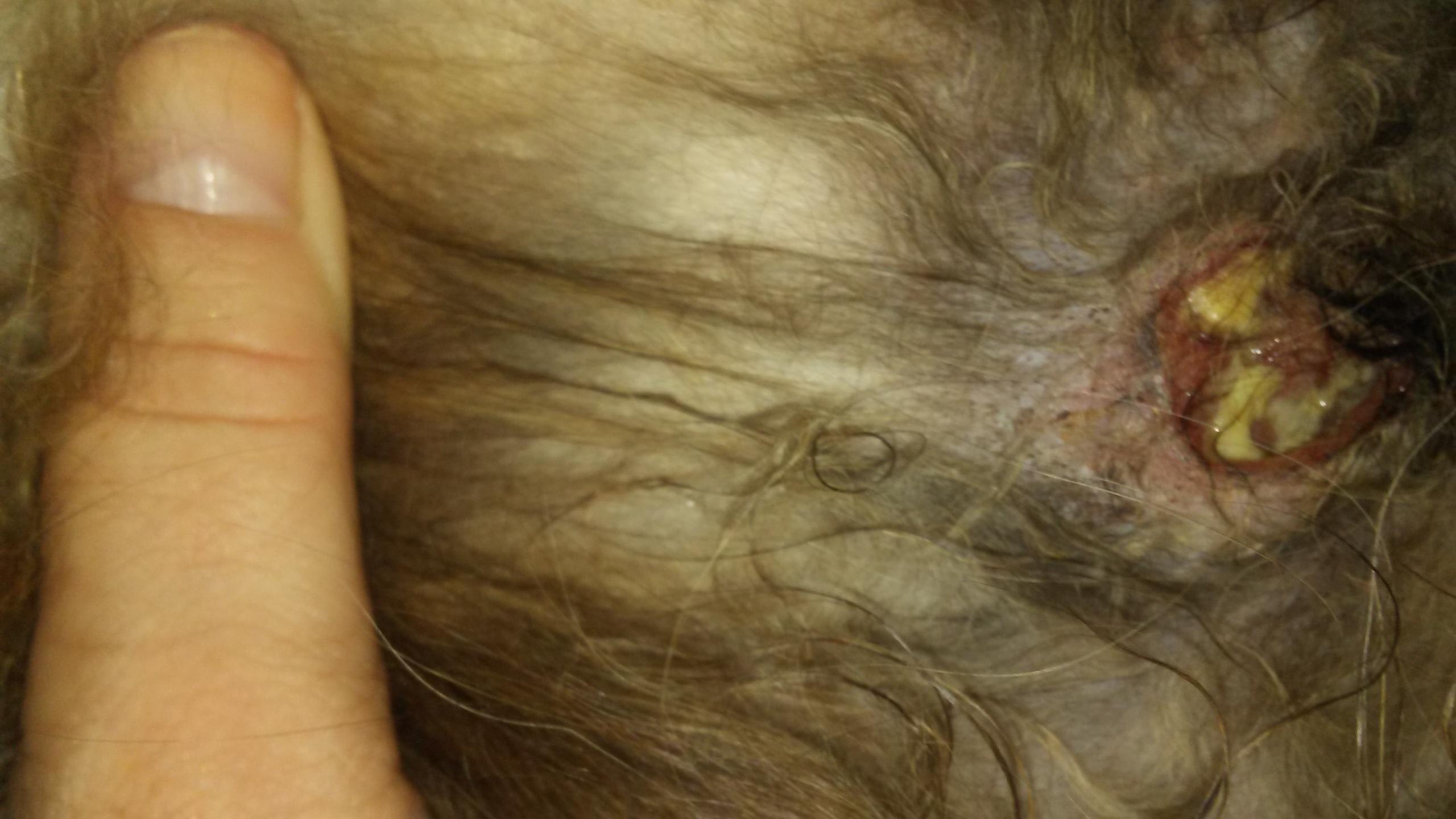 Question details sensitive content