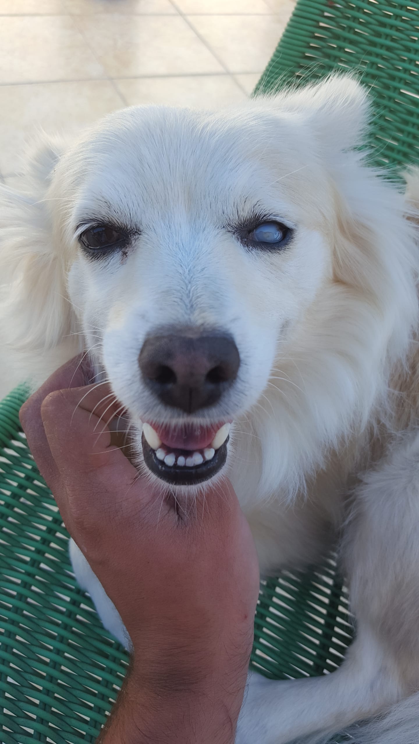 Question details sensitive content