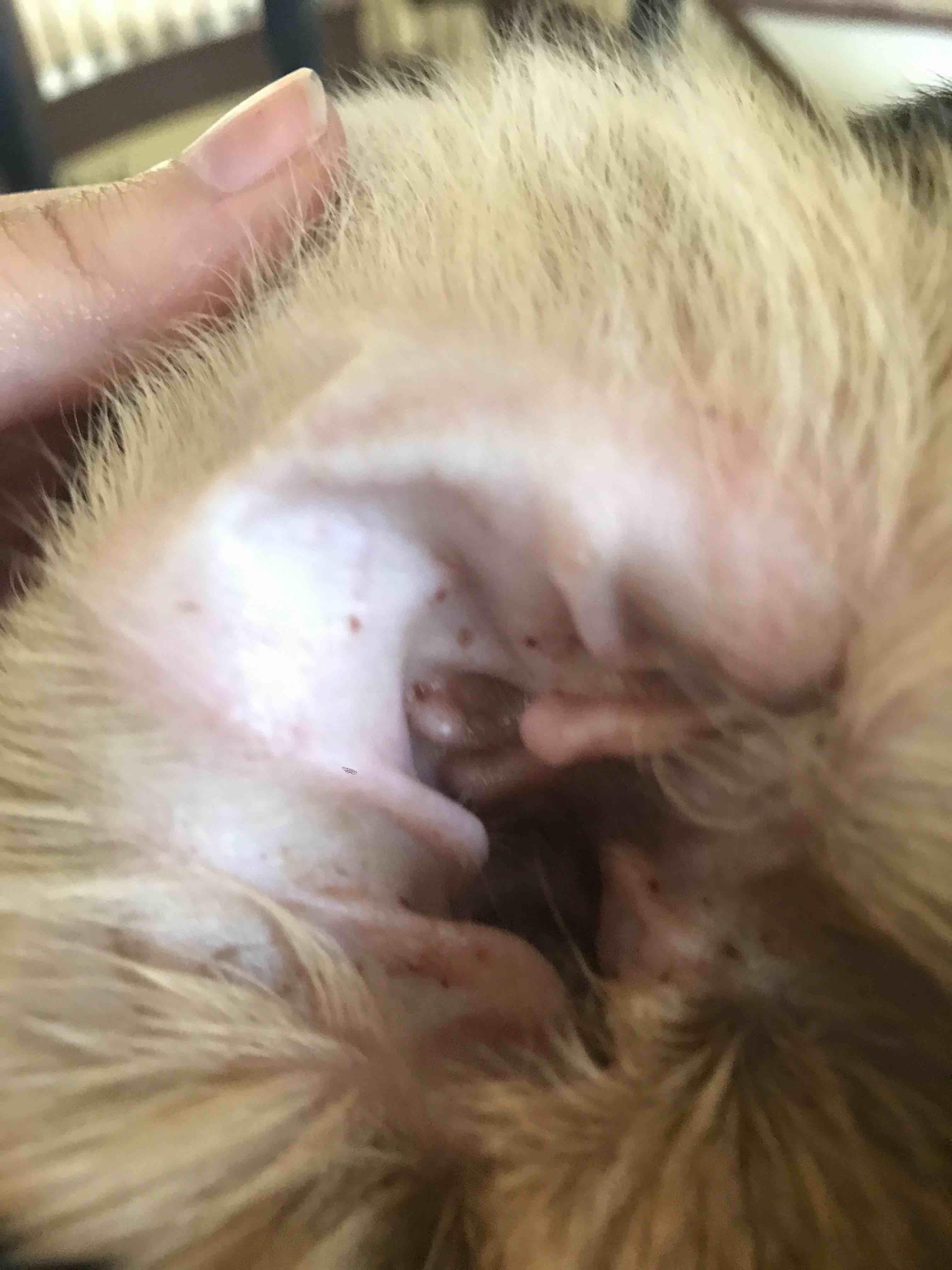 Question details sensitive content