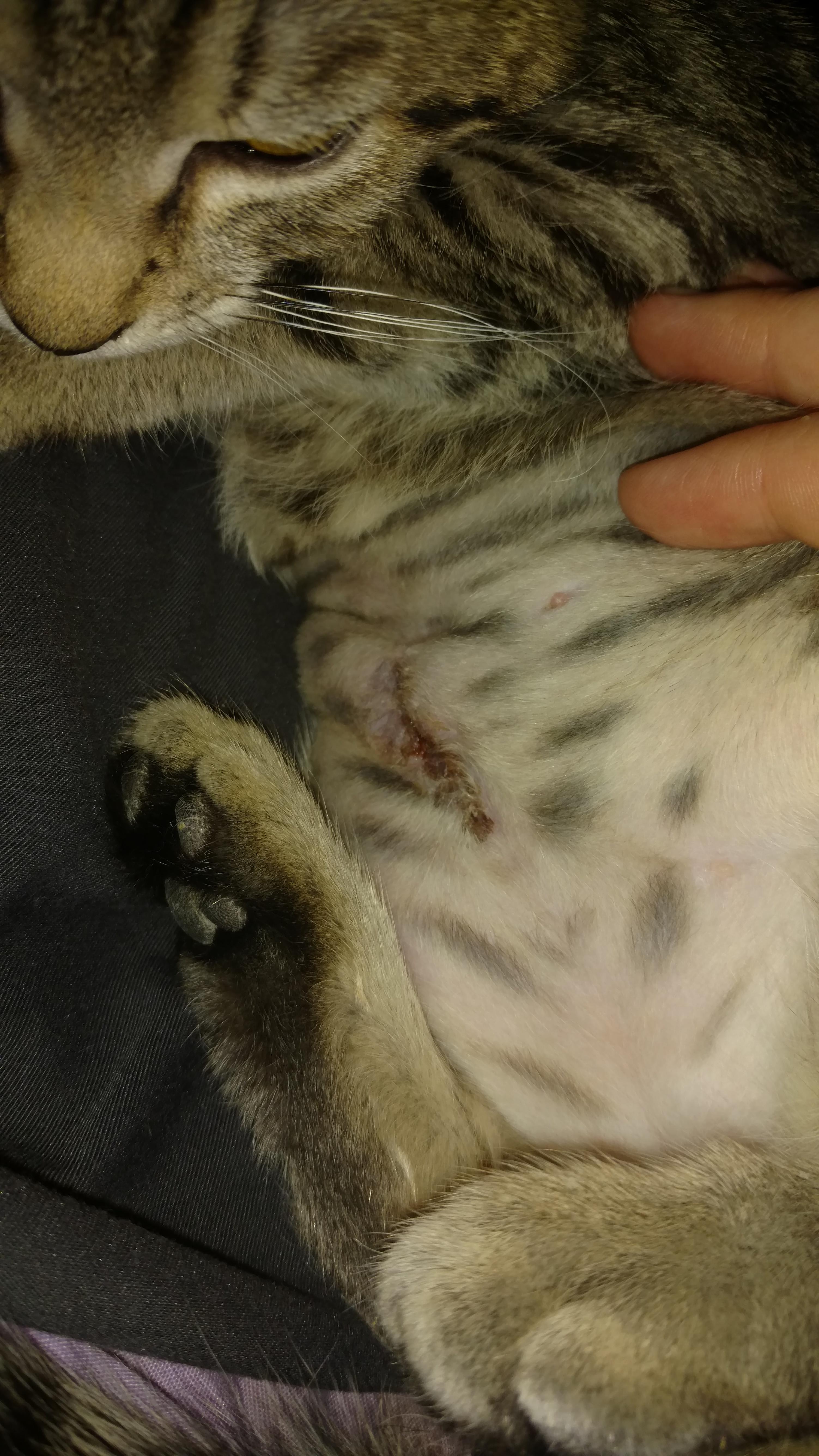 Question details sensitive content