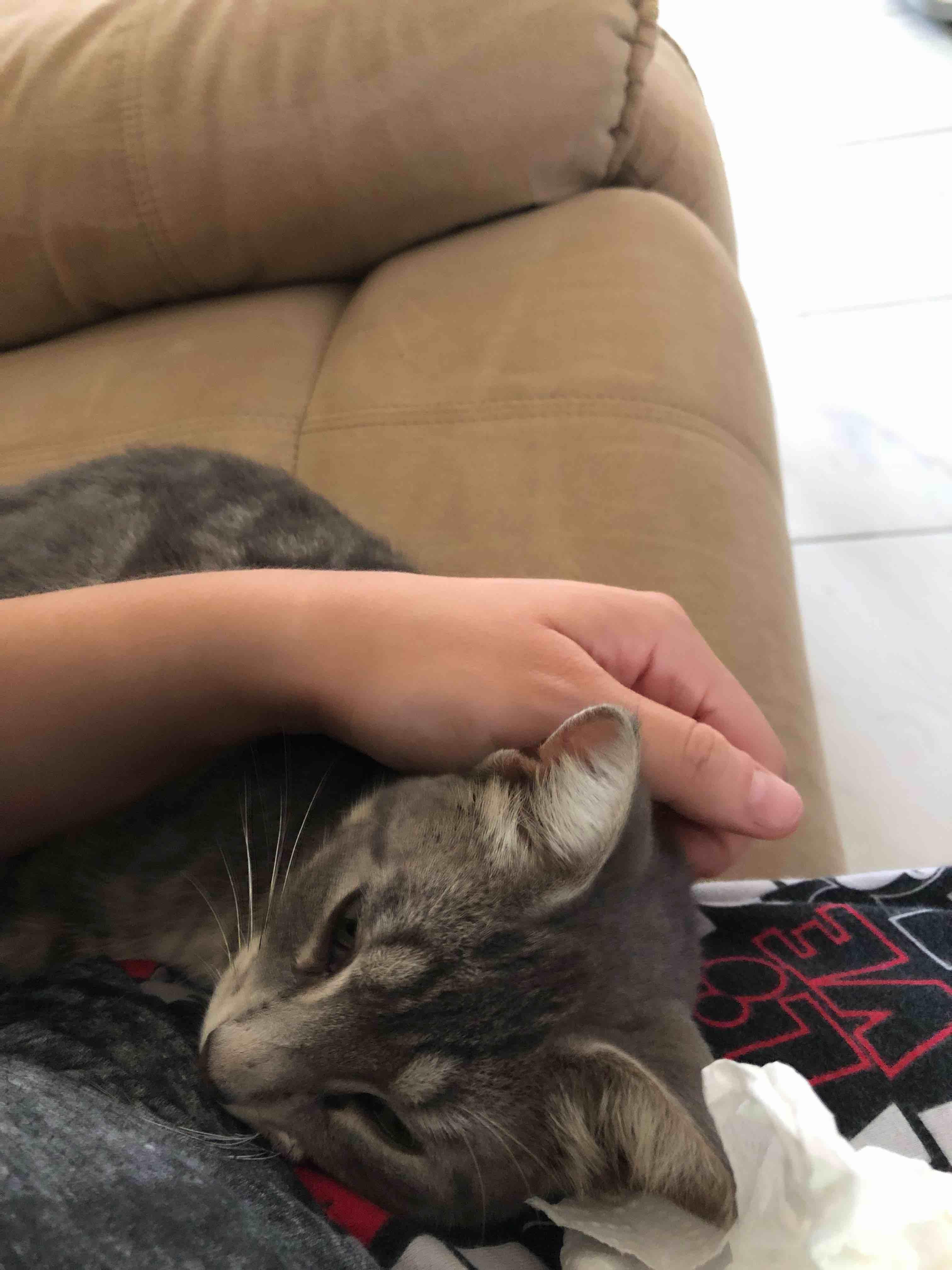 Question details sensitive content