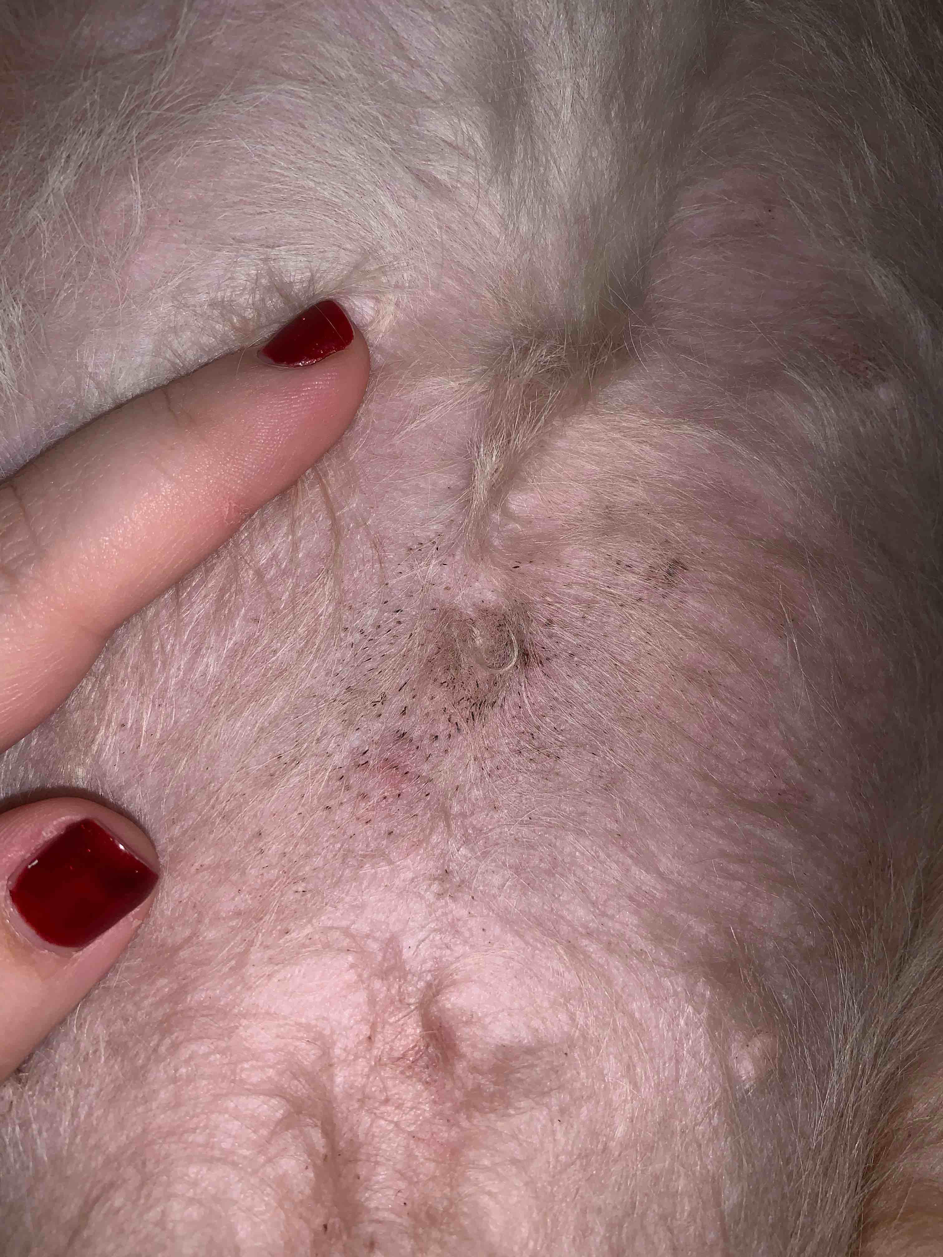 Question details sensitive content