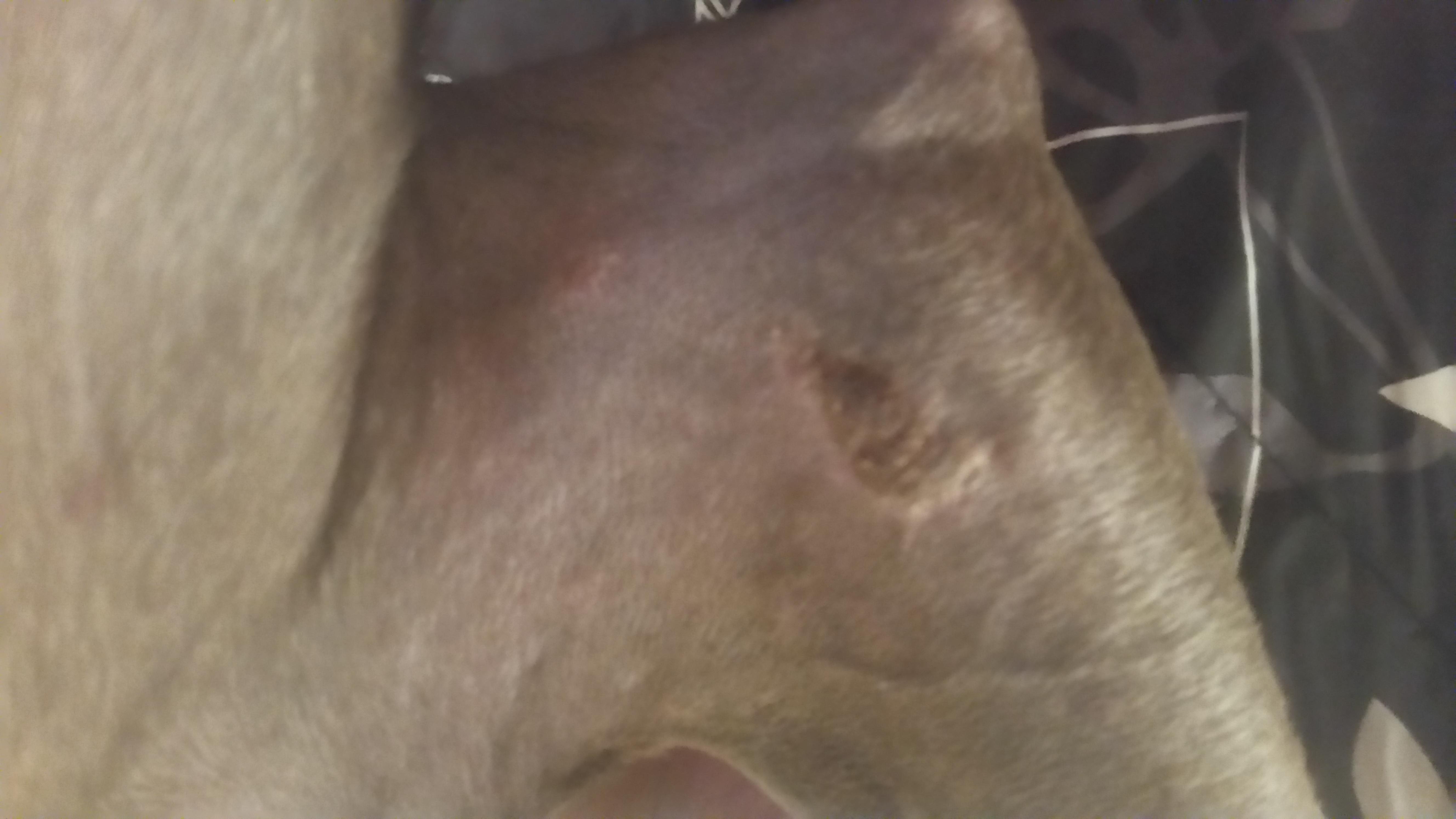 Question details sensitive content