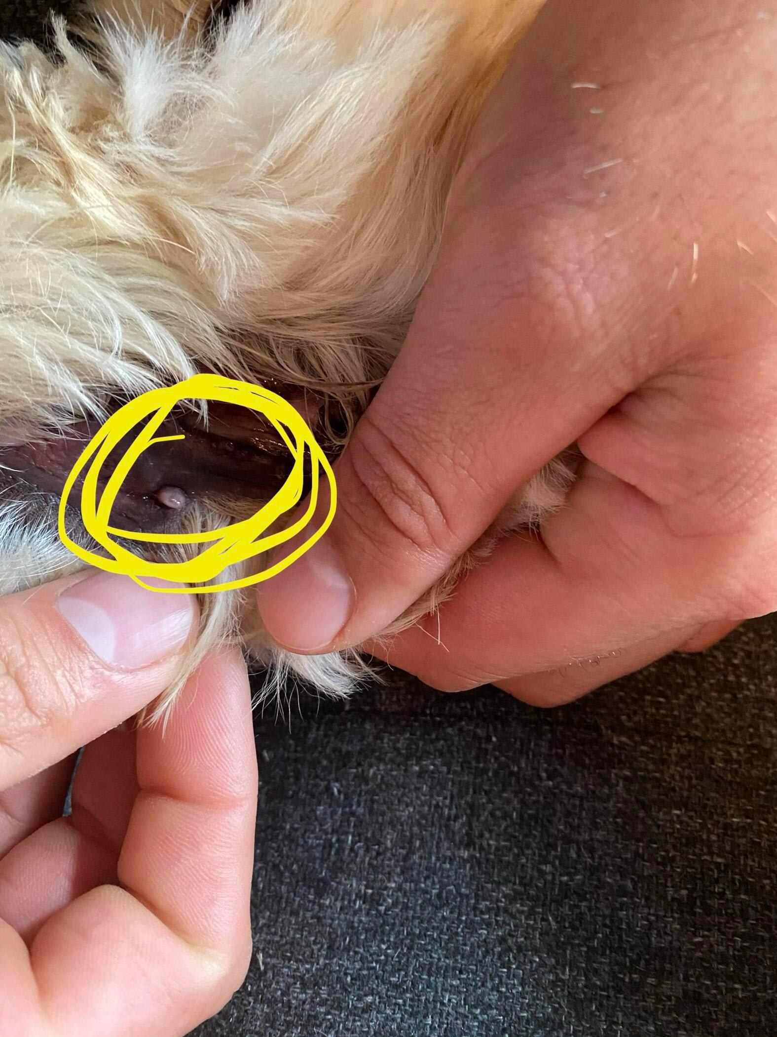 Question details sensitive content