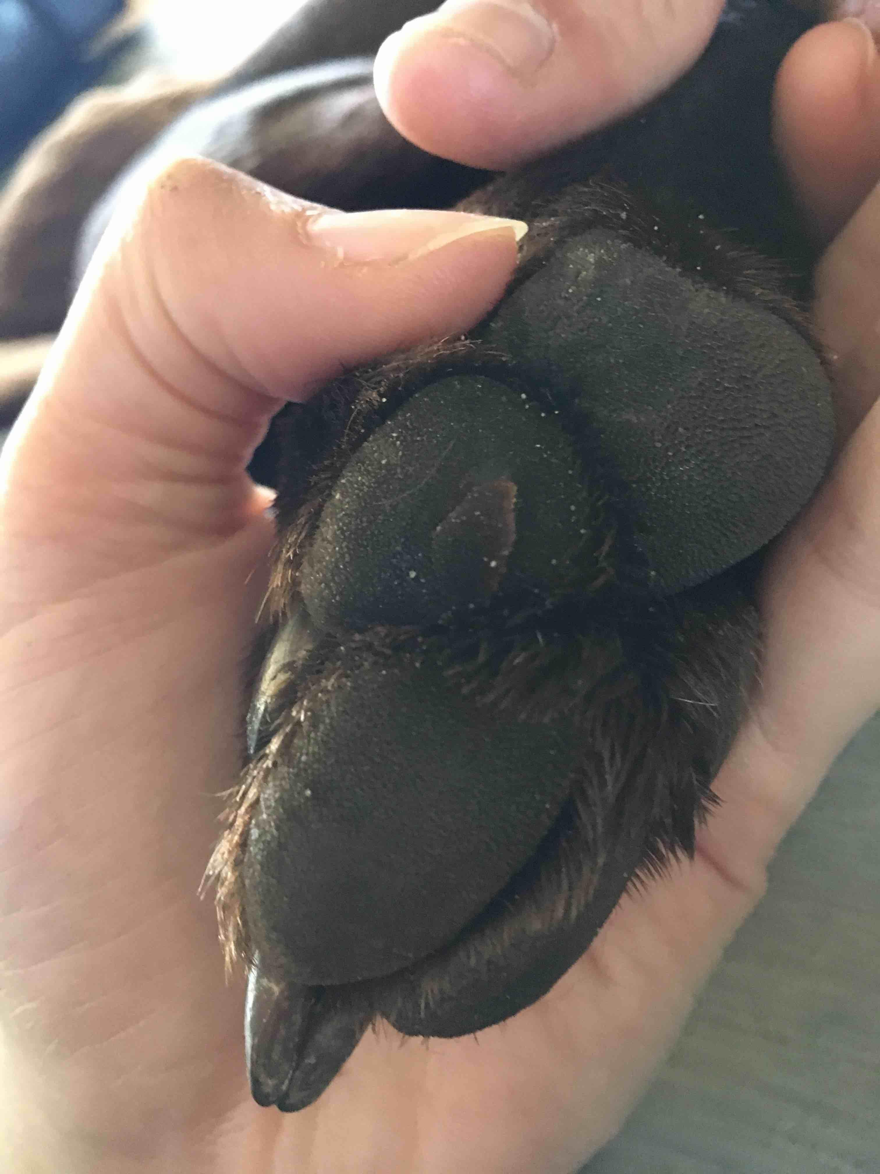 Question details sensitive content