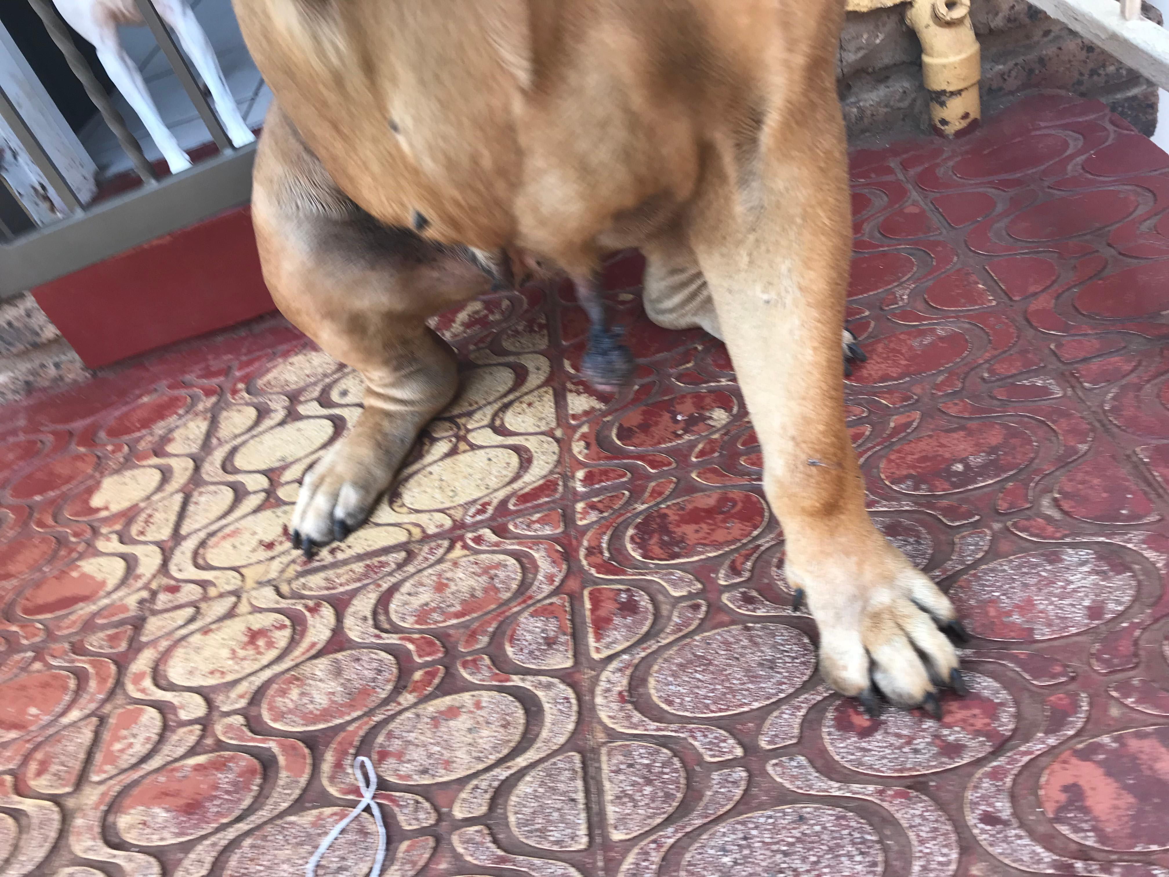 Question details sensitive content