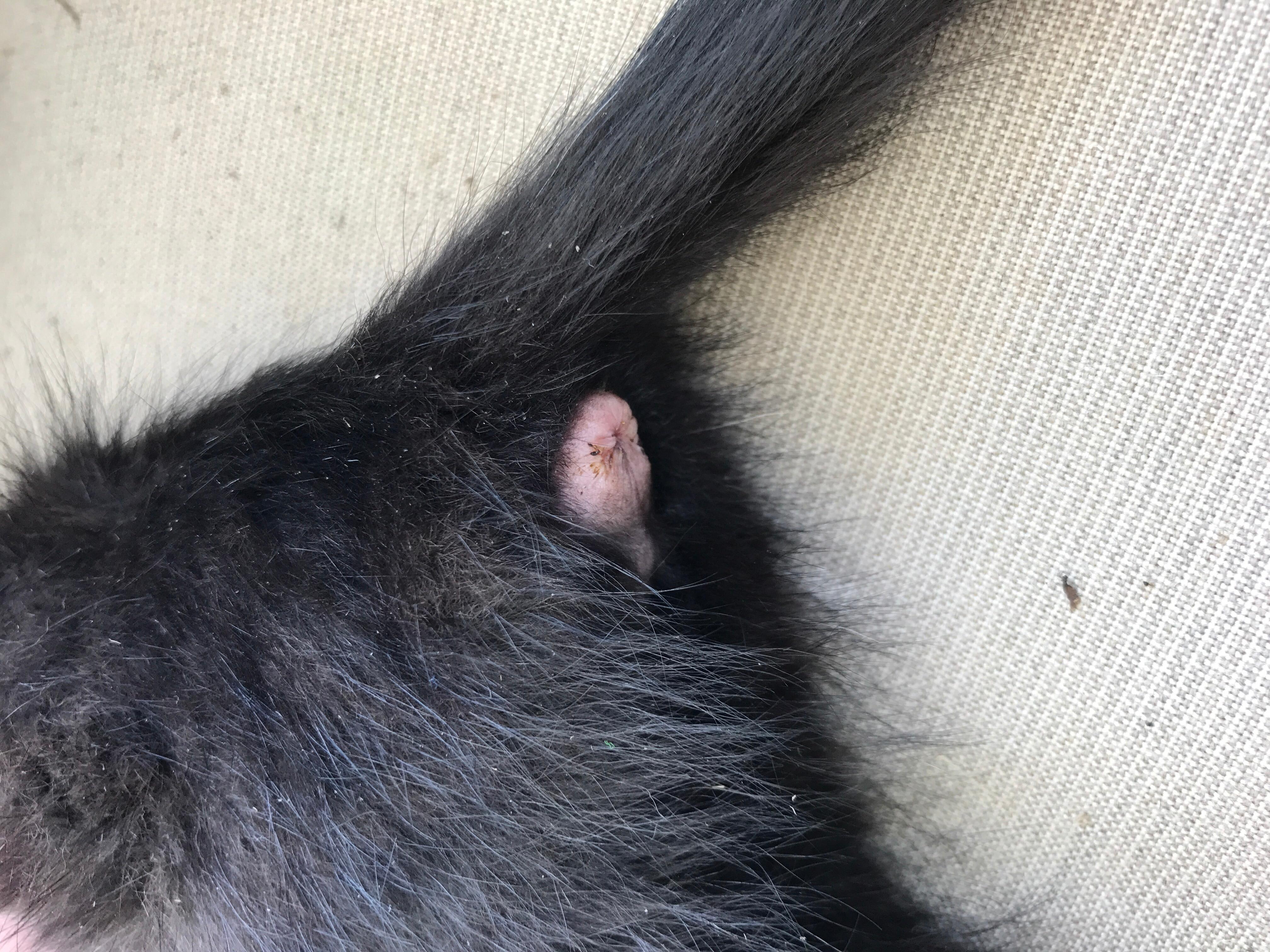 Question details sensitive content