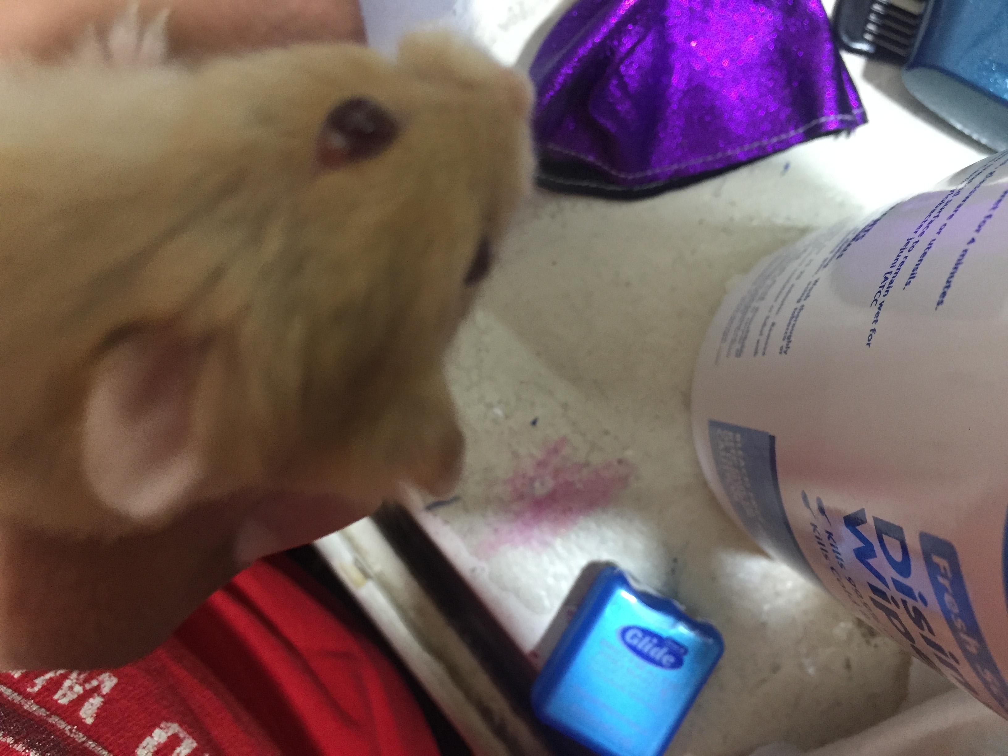 Question details sensitive content