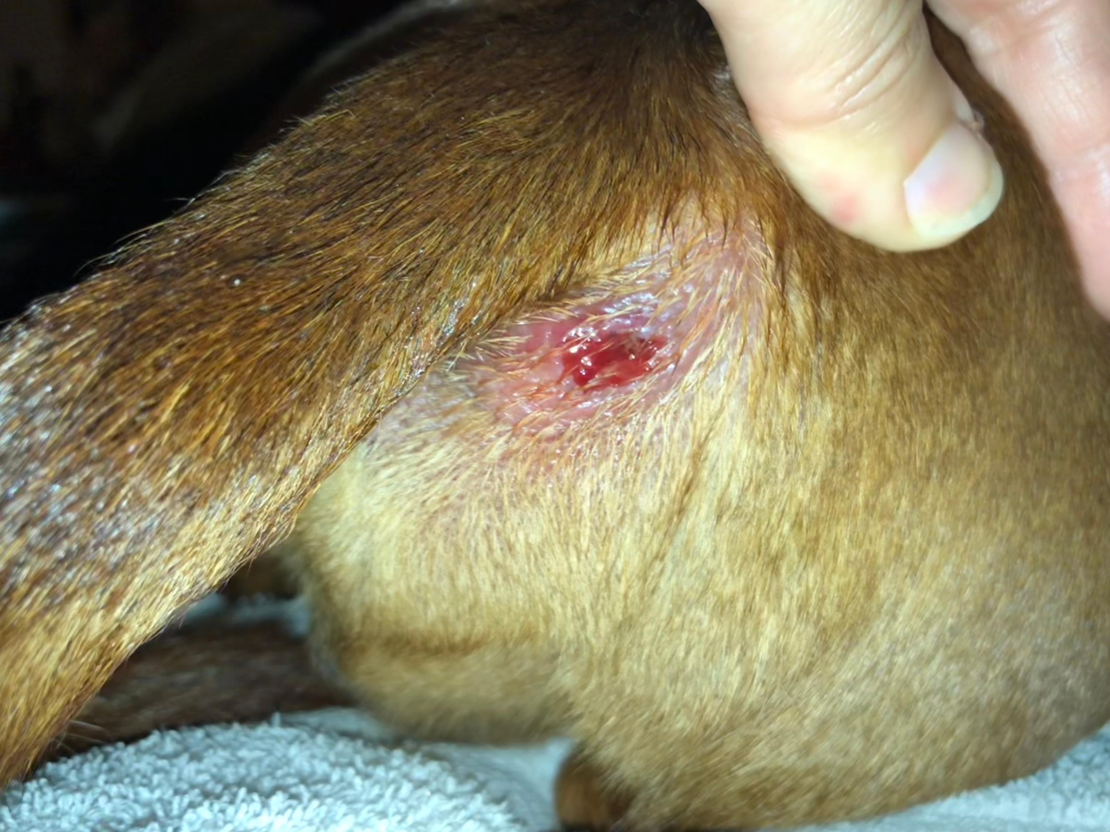 Question details sensitive content