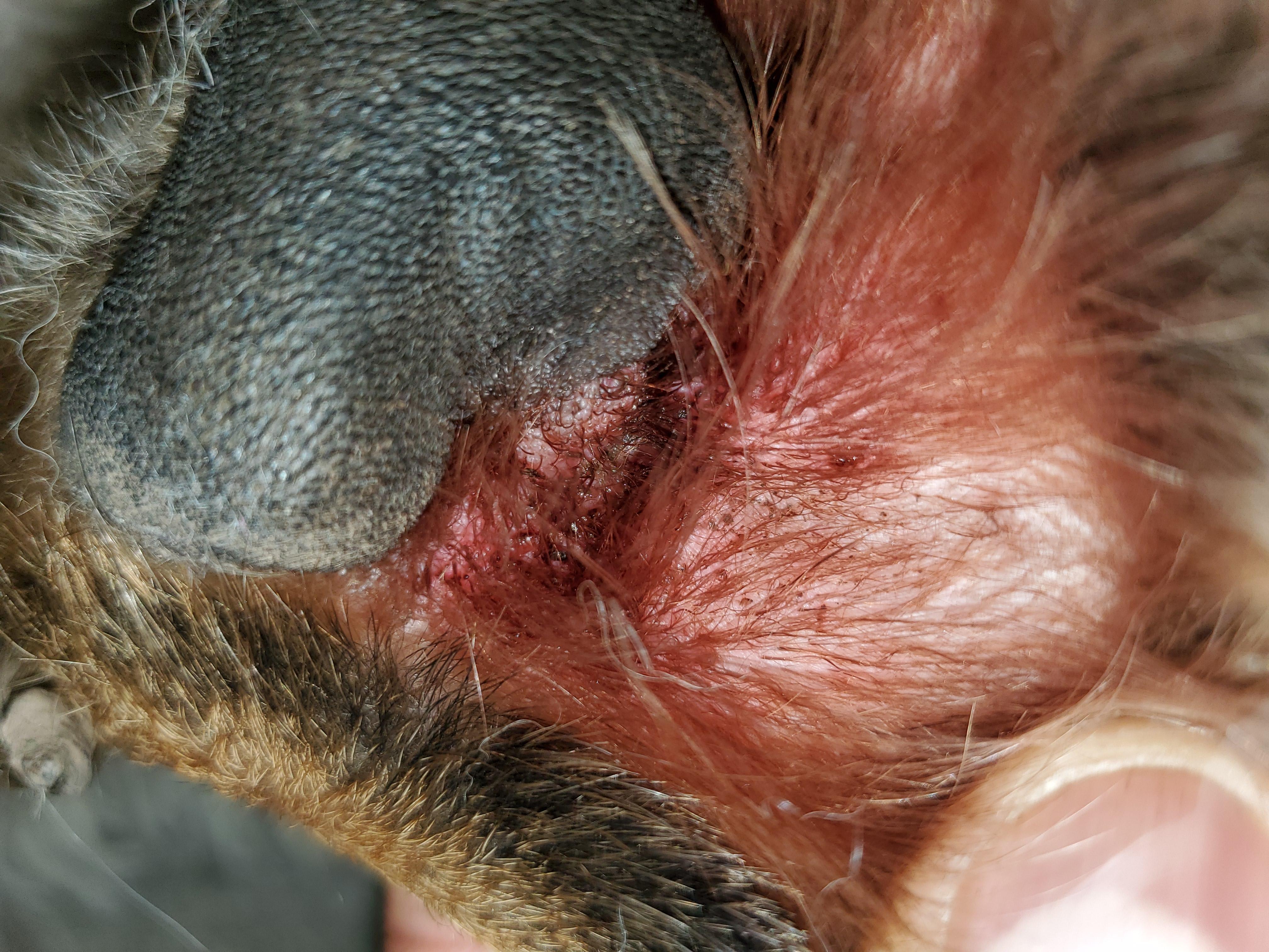 Question details sensitive content