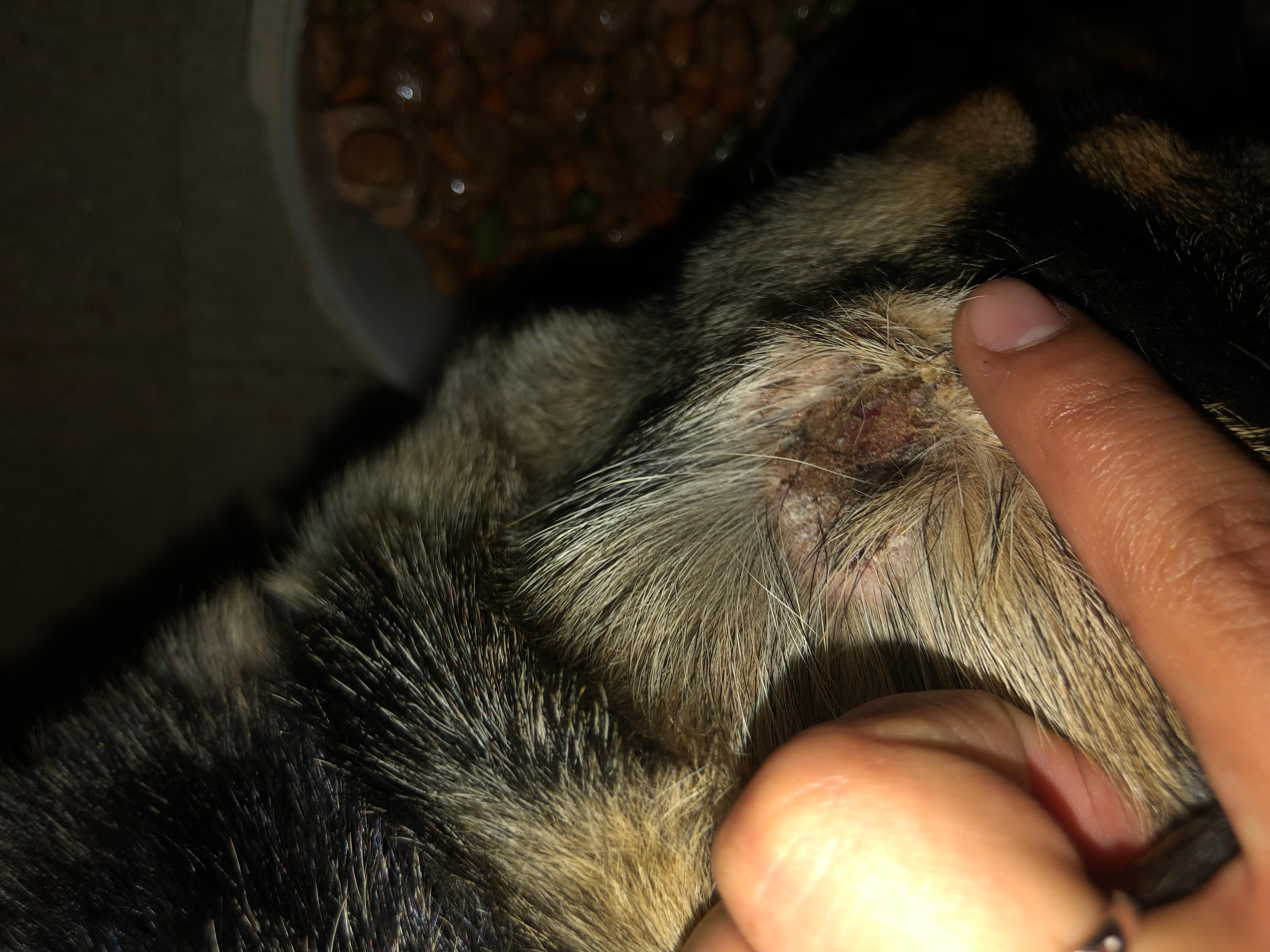 Question details sensitive content