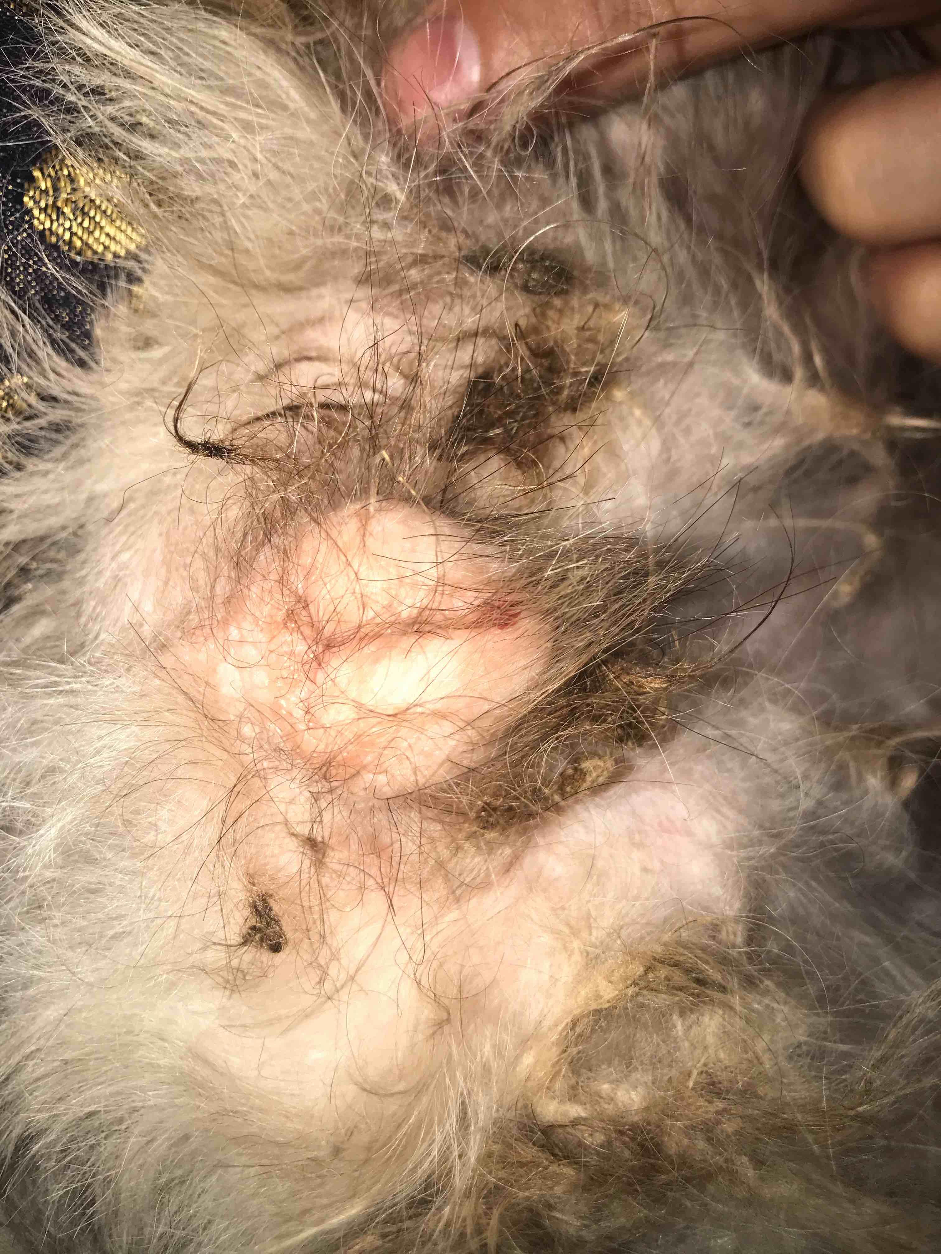 Question details sensitive content