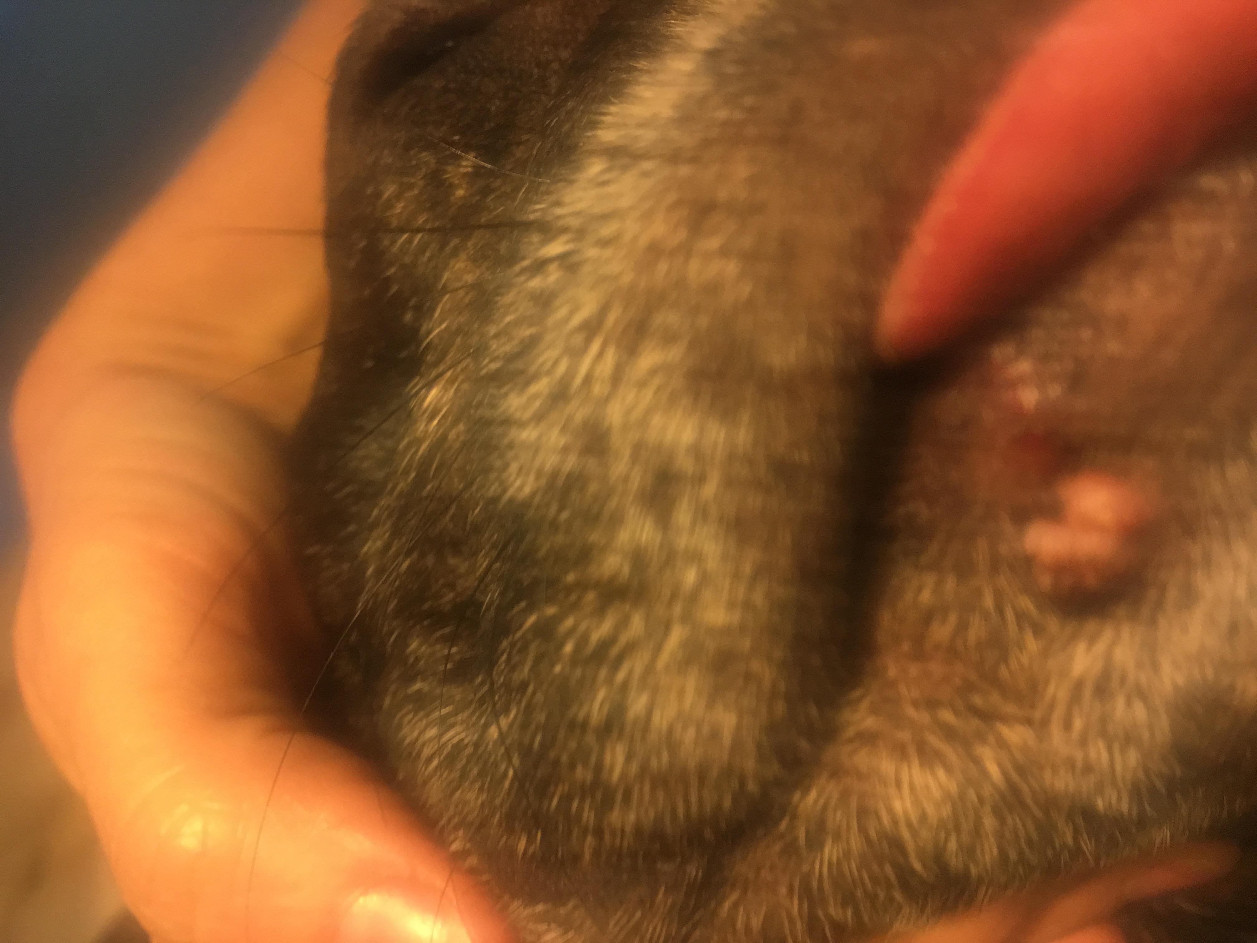 Question details sensitive content