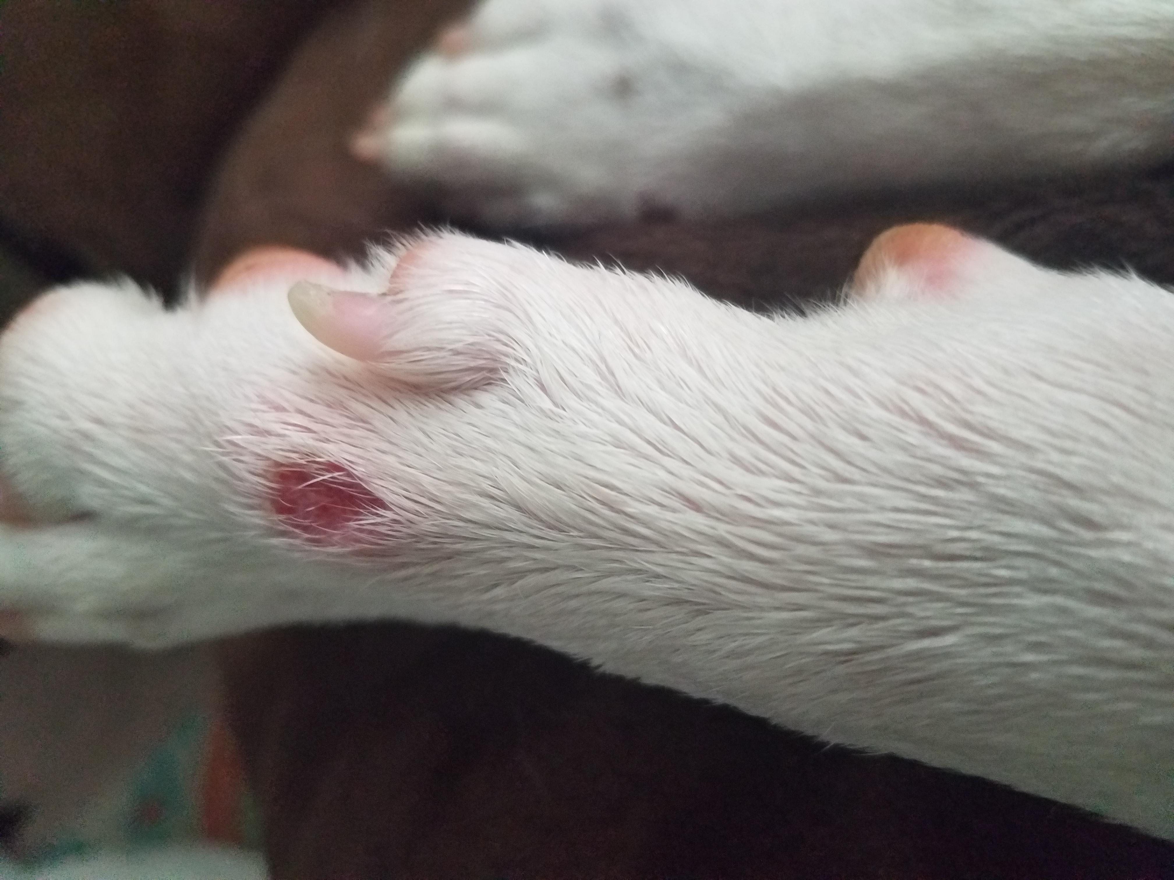 Question details sensitive content