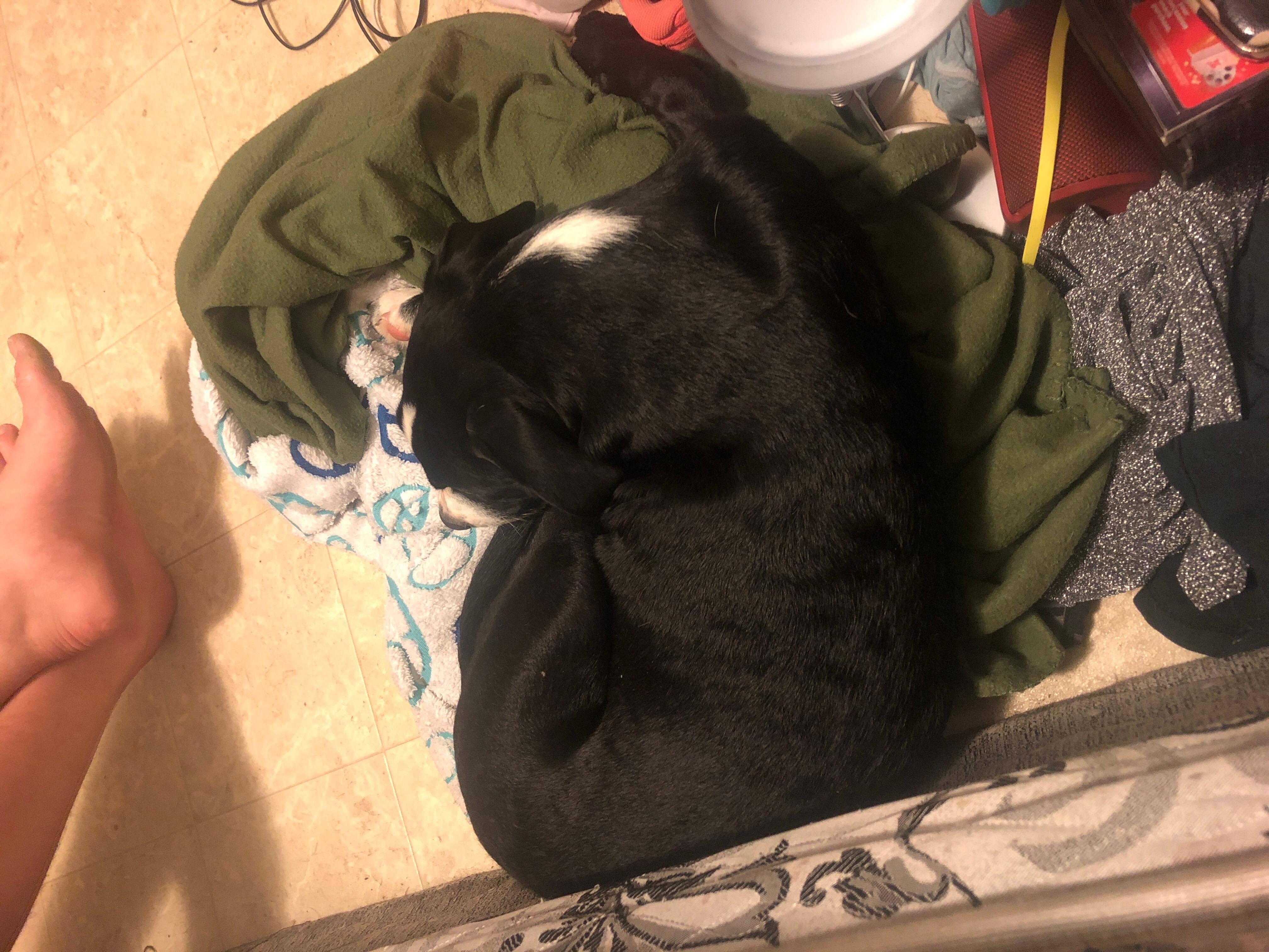 Question details sensitive content