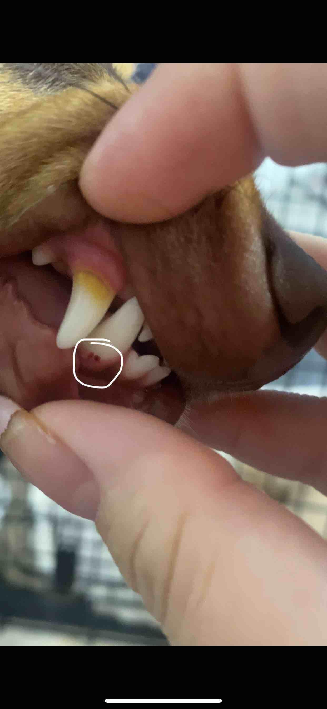 Question details sensitive content