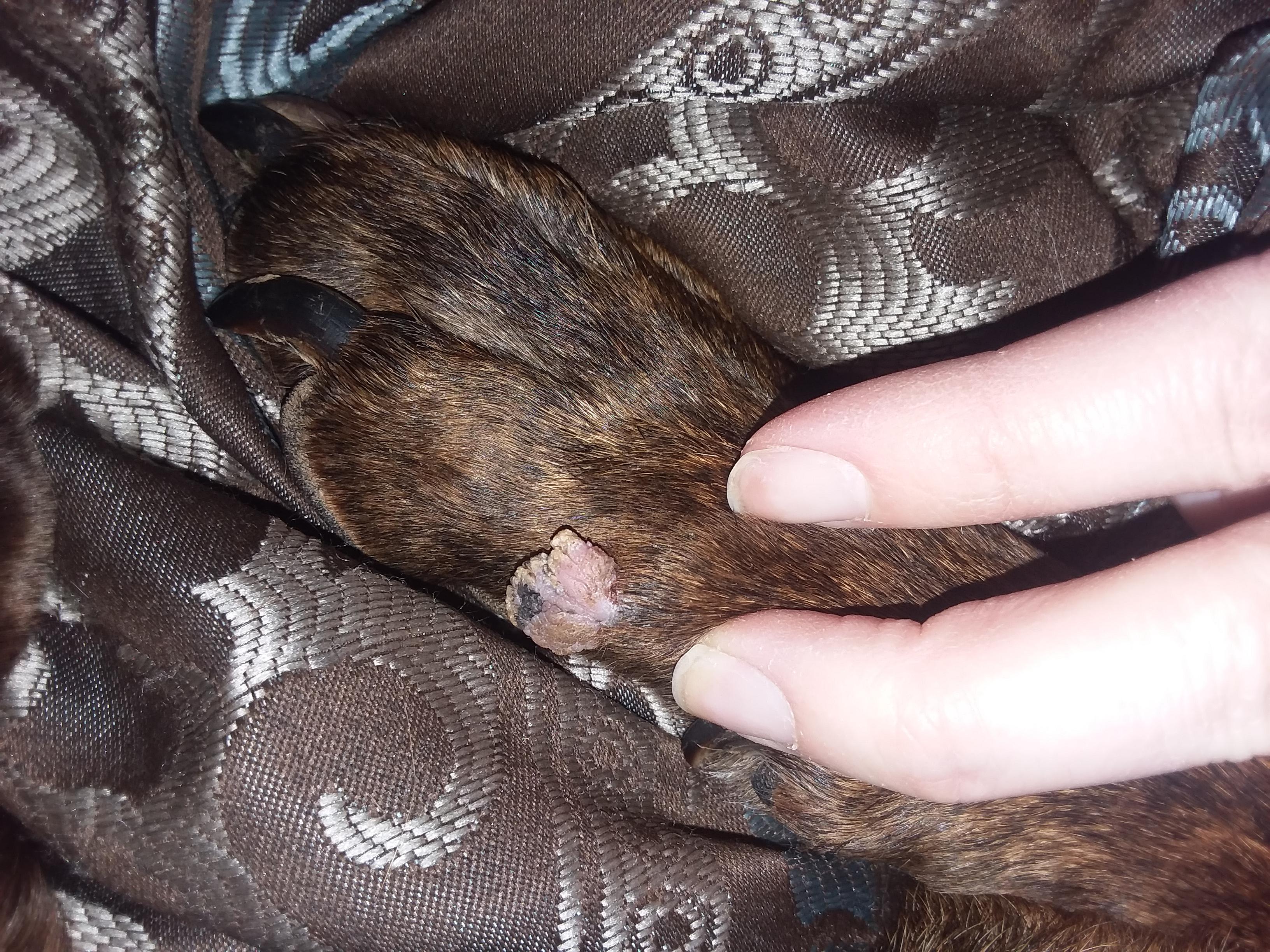 Question details sensitive content