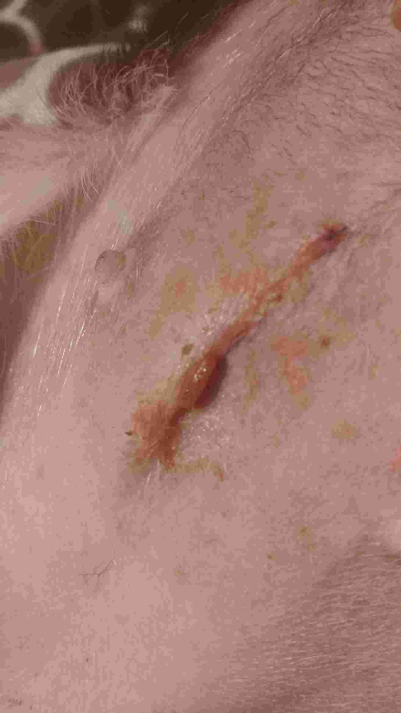 Question details sensitive content