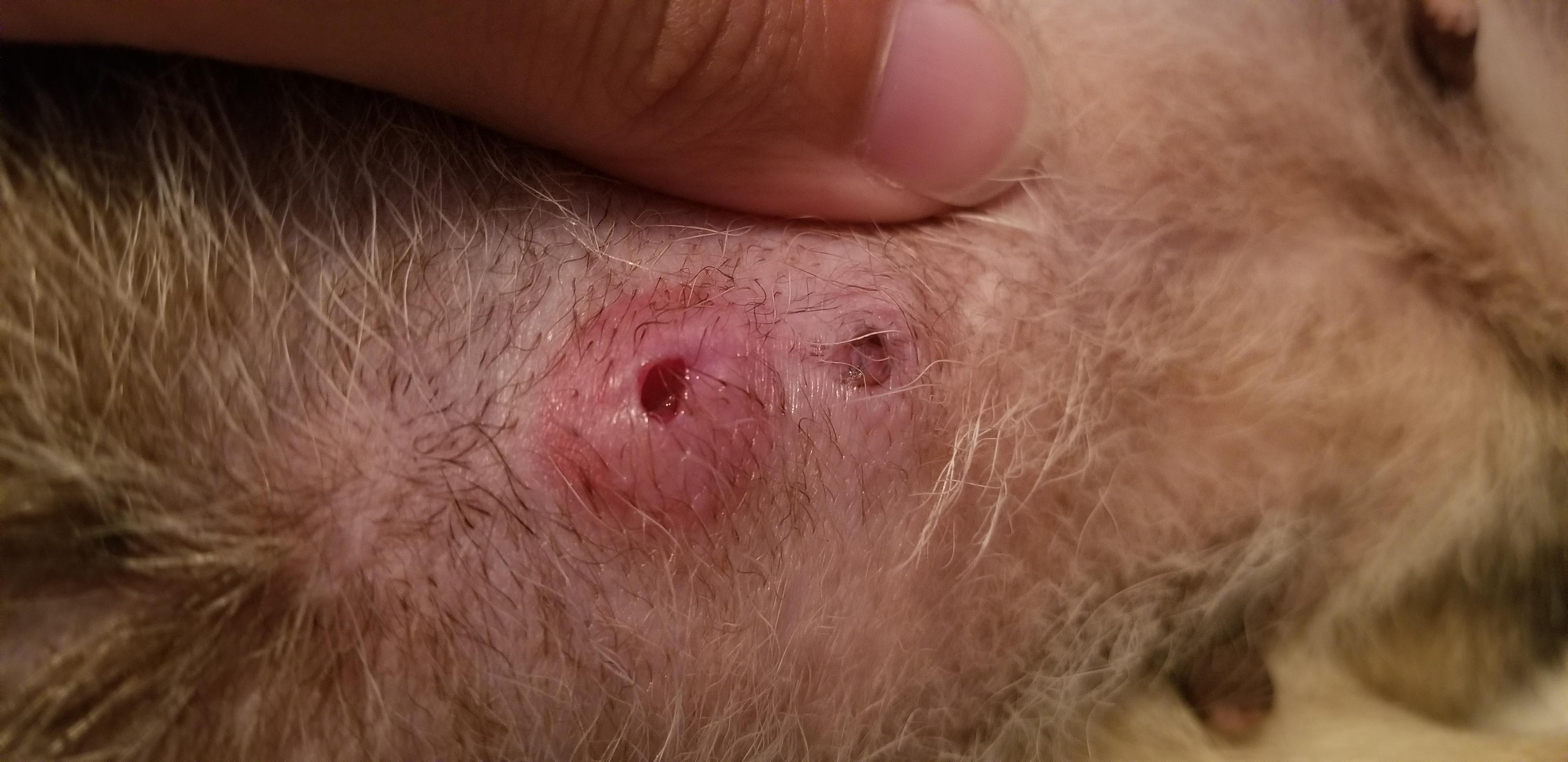 Question details sensitive content