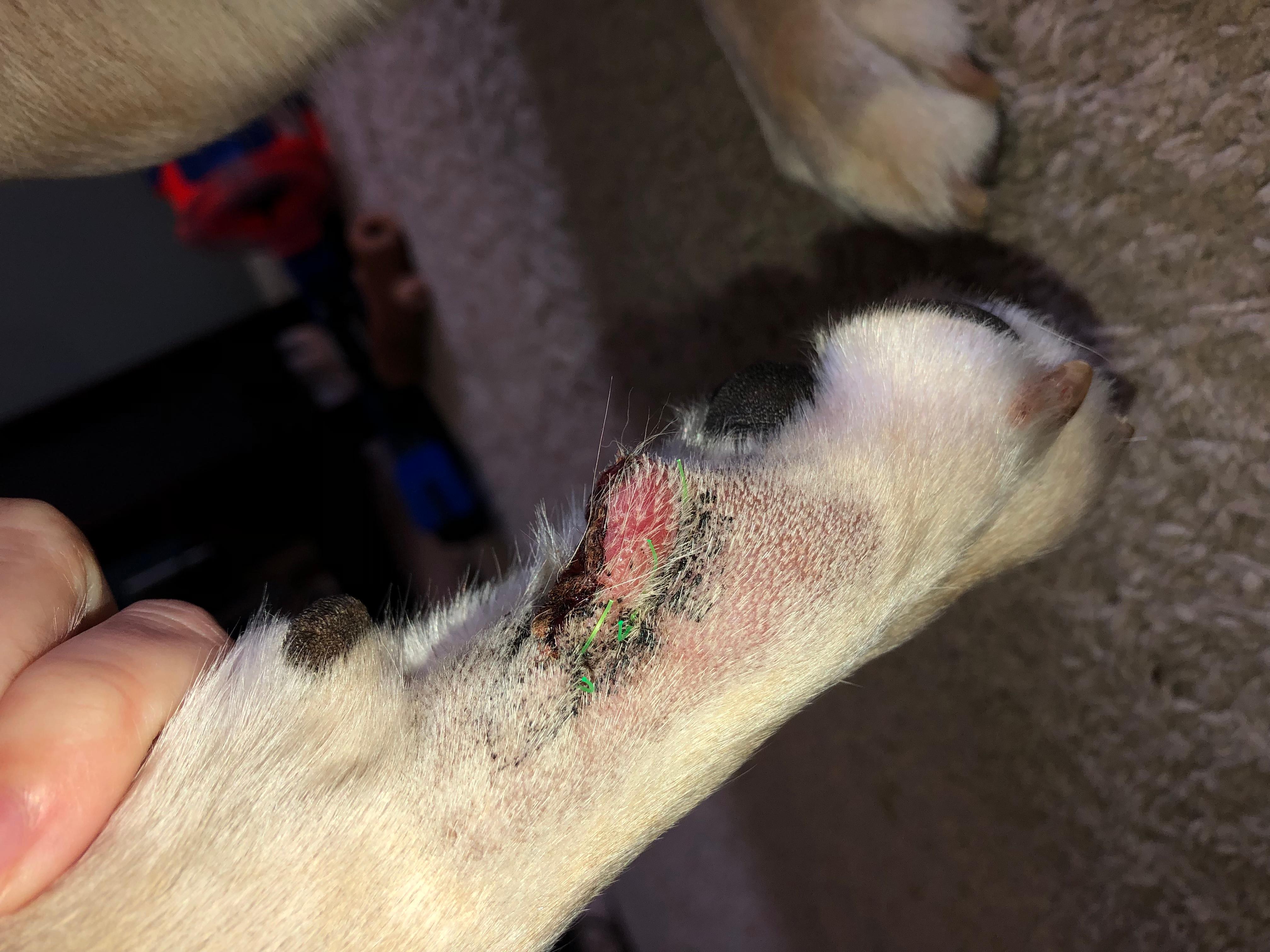 Question details sensitive content