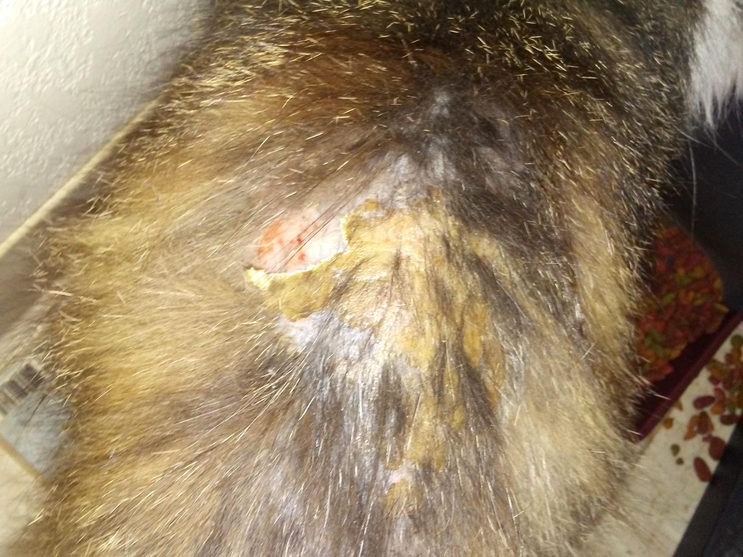 Question details sensitive content