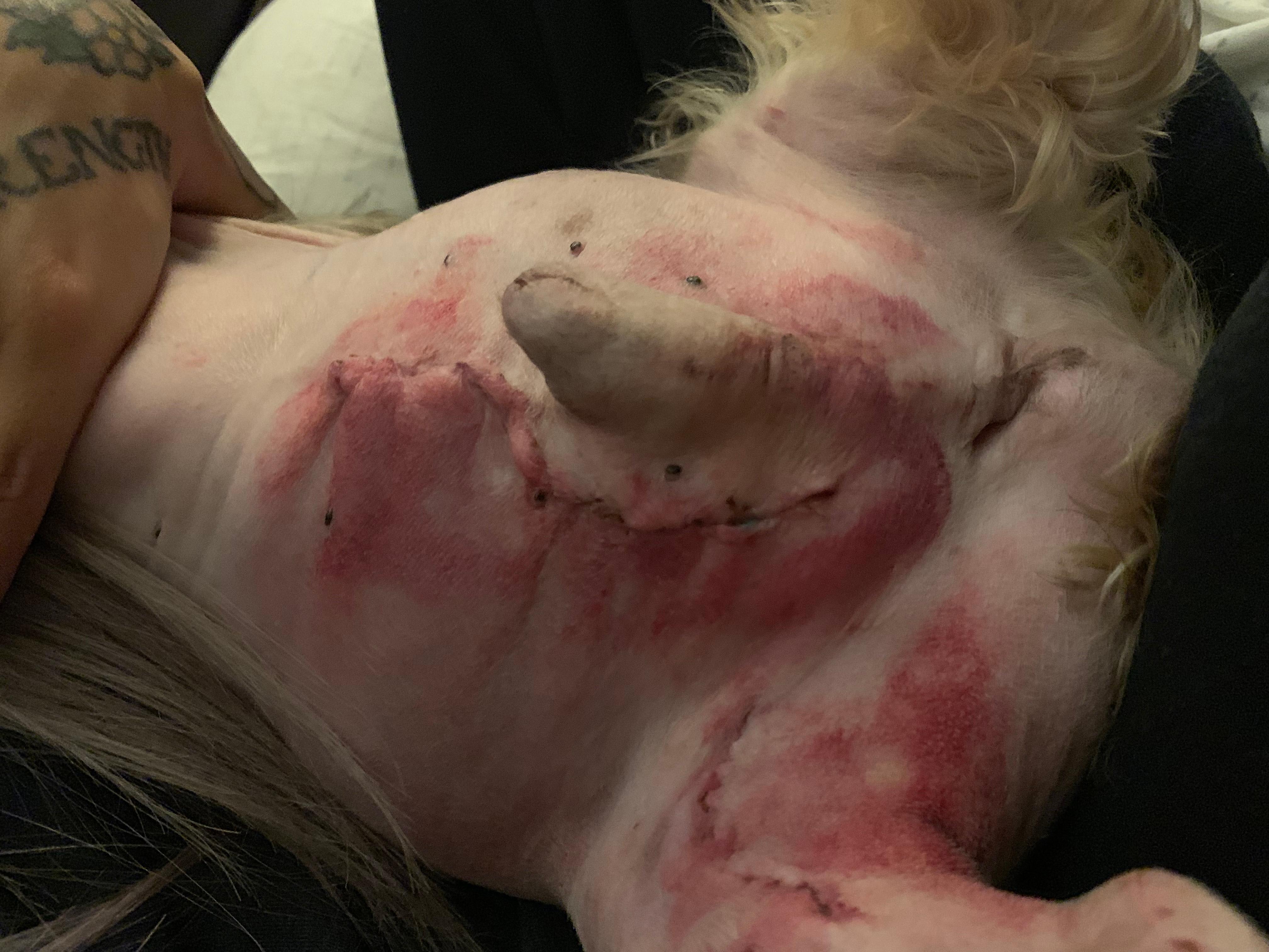 Question details sensitive content