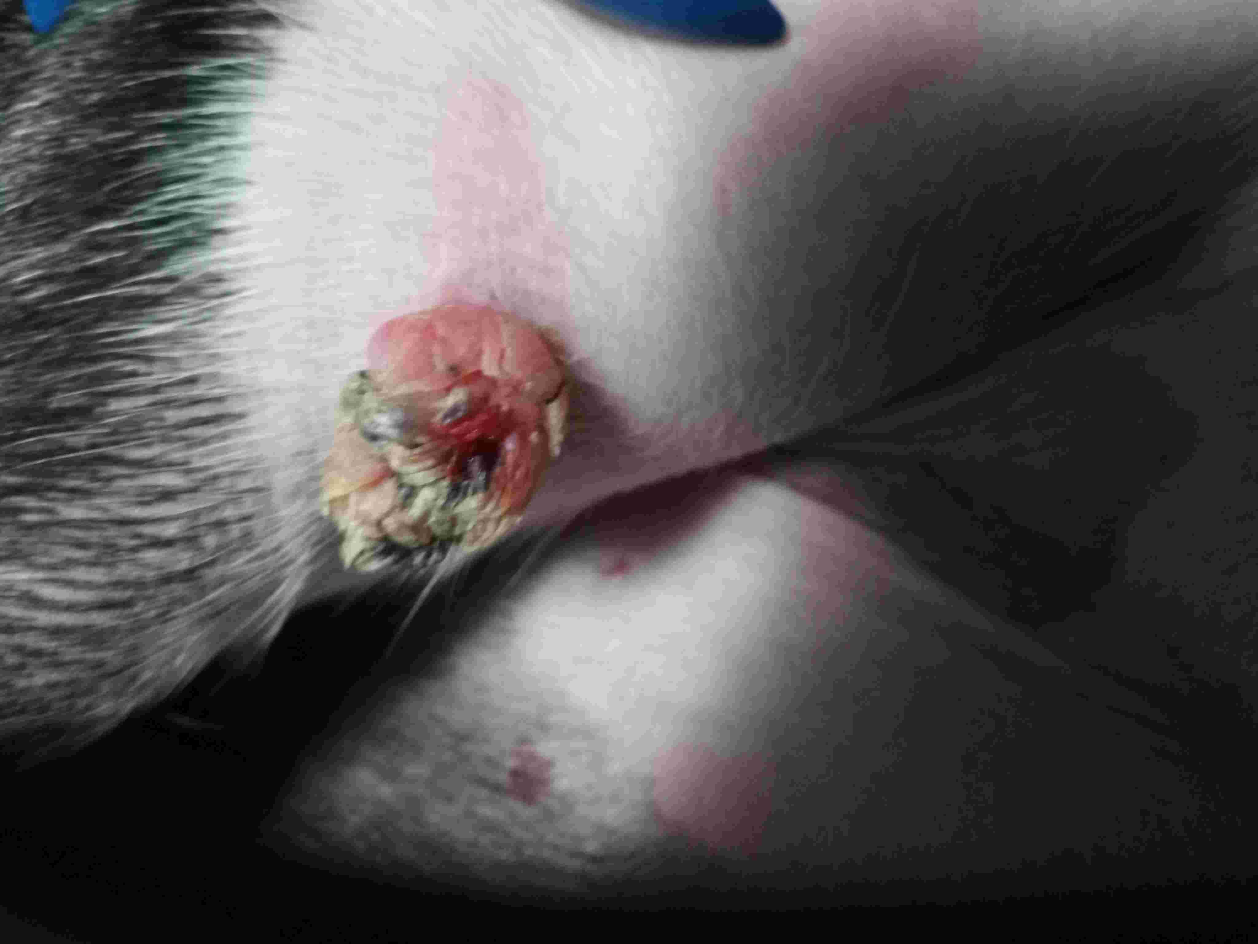 Question details sensitive content