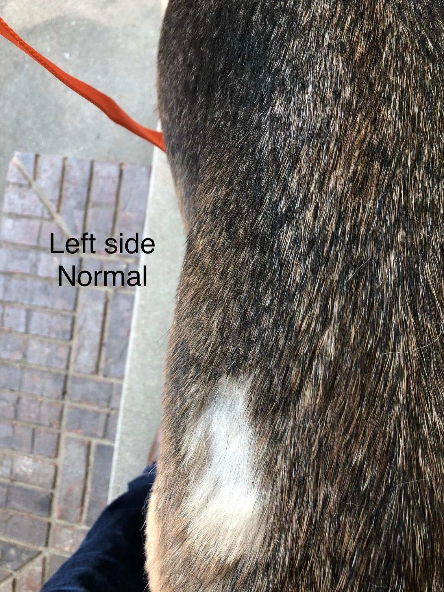 Question details sensitive content