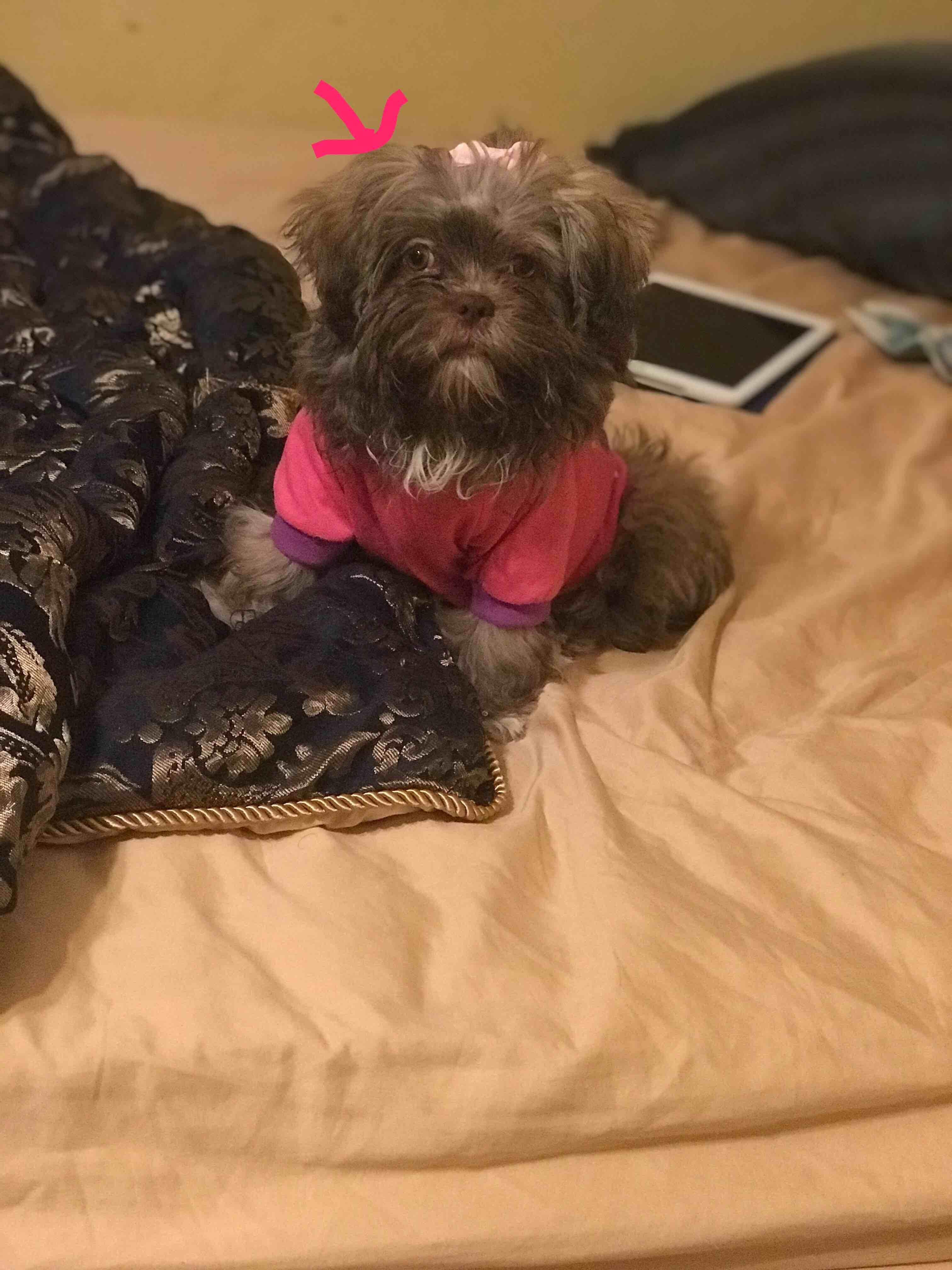 Question details sensitive content