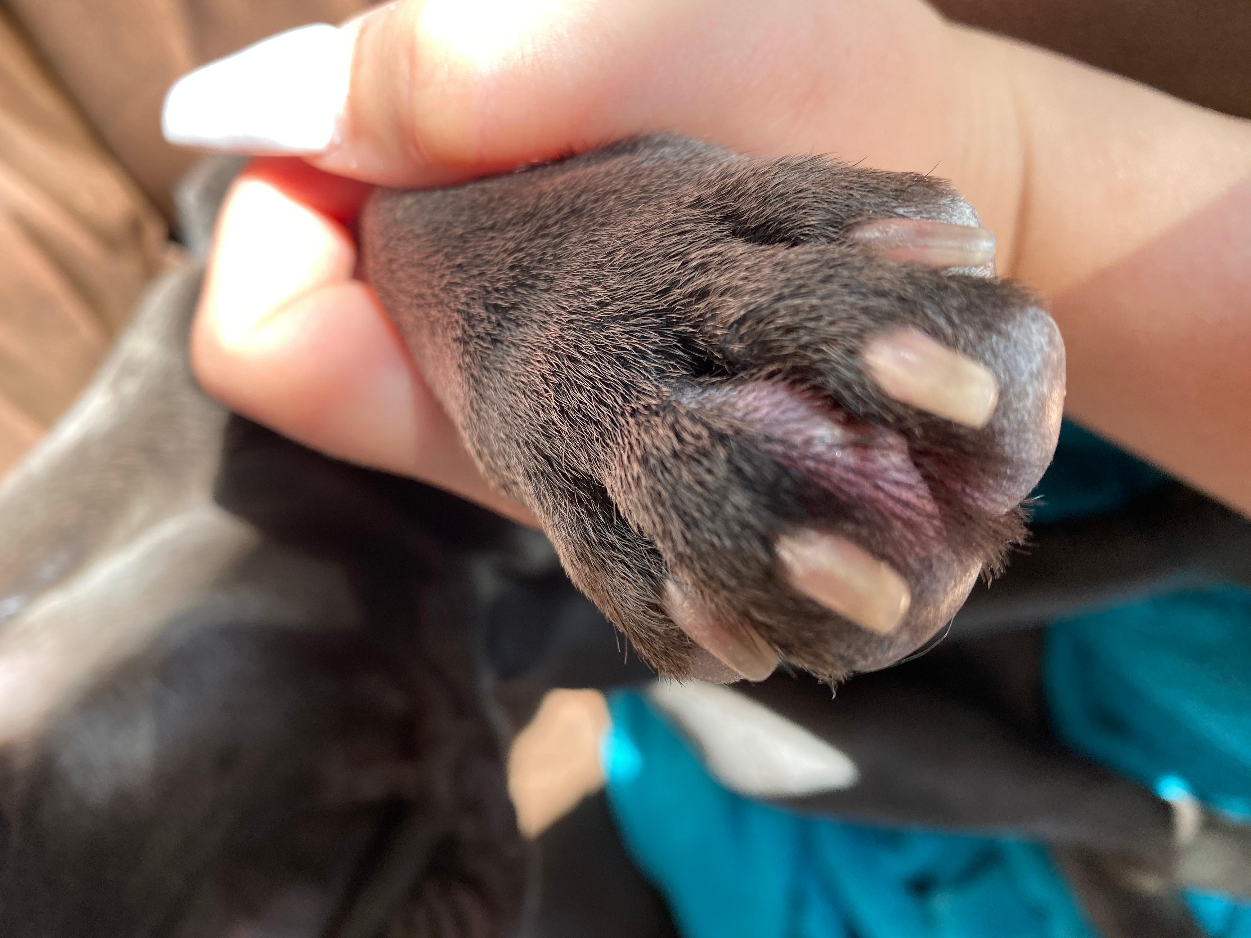 Question details sensitive content