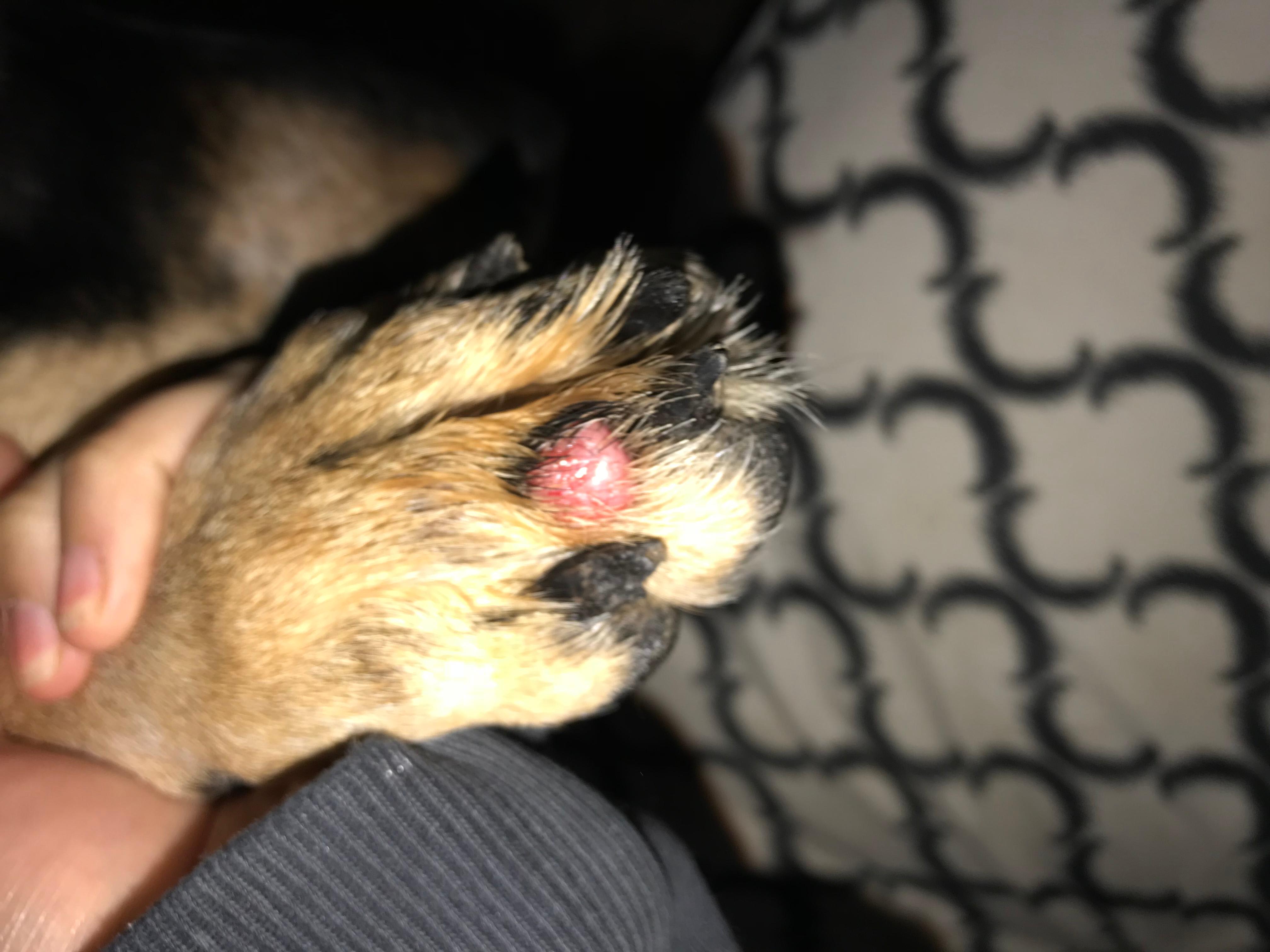 Question details sensitive content