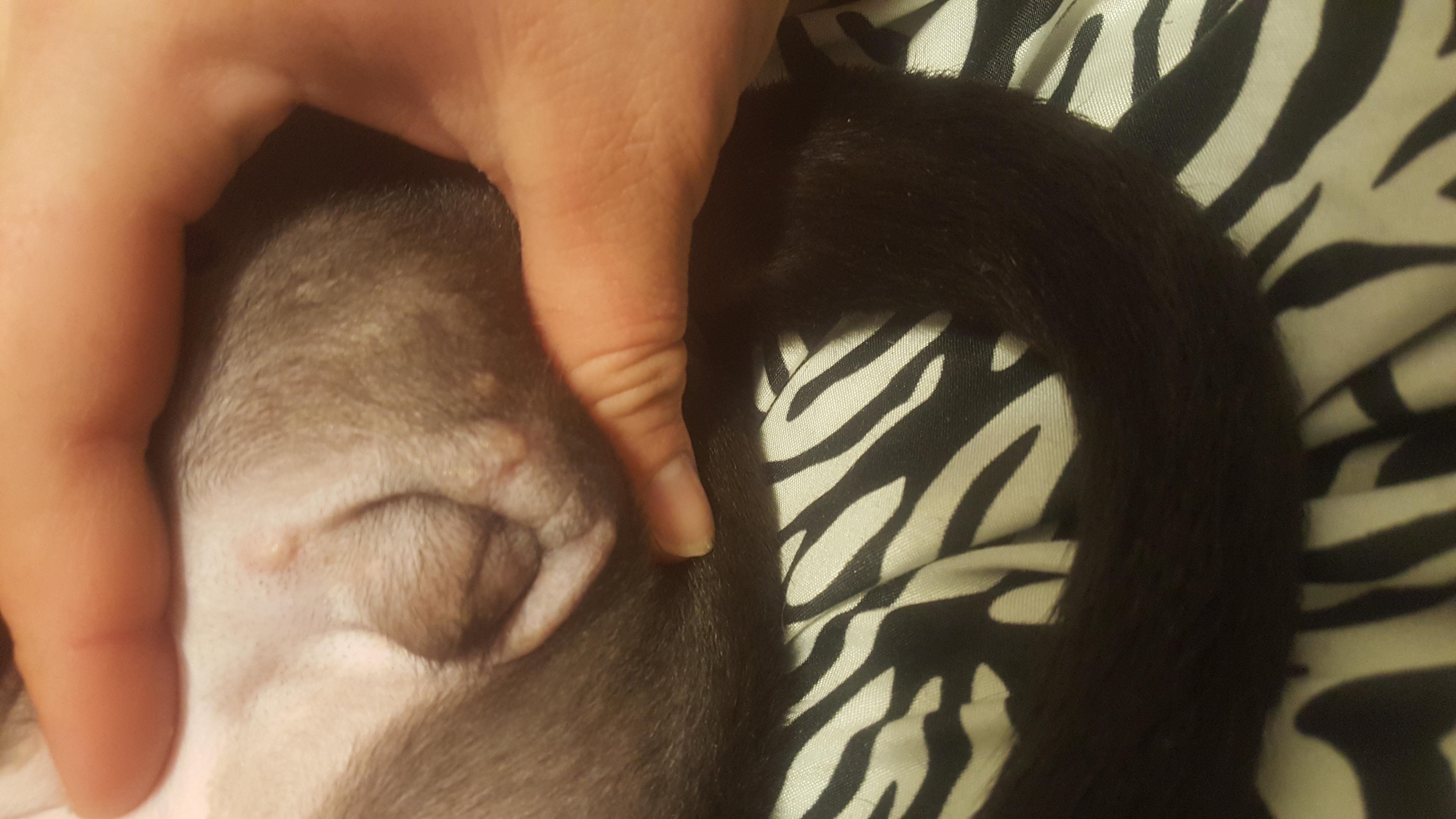 Question details sensitive content