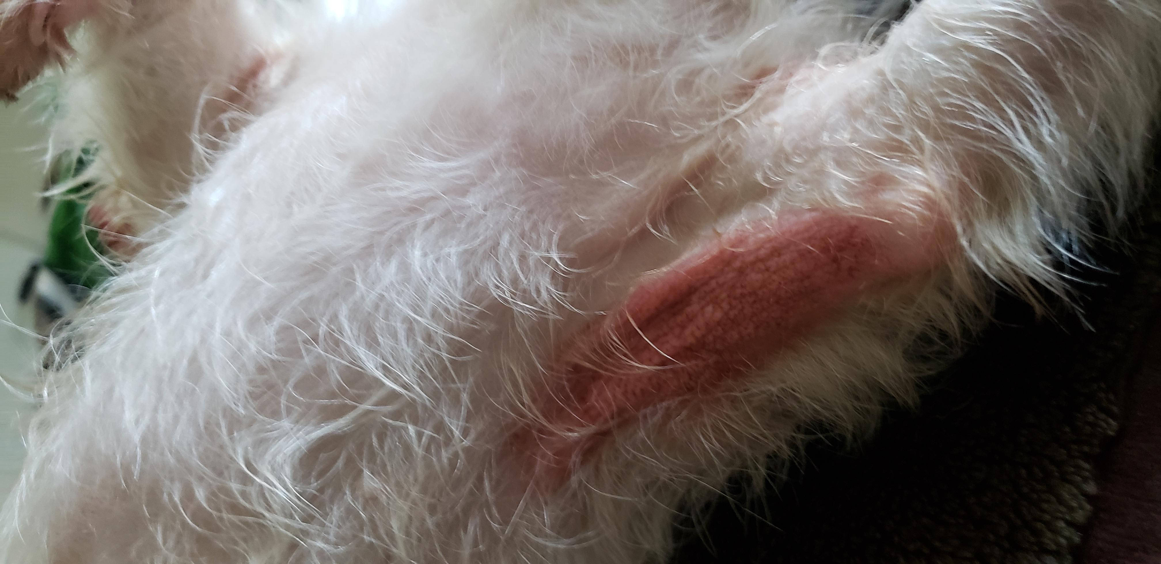 Question details sensitive content