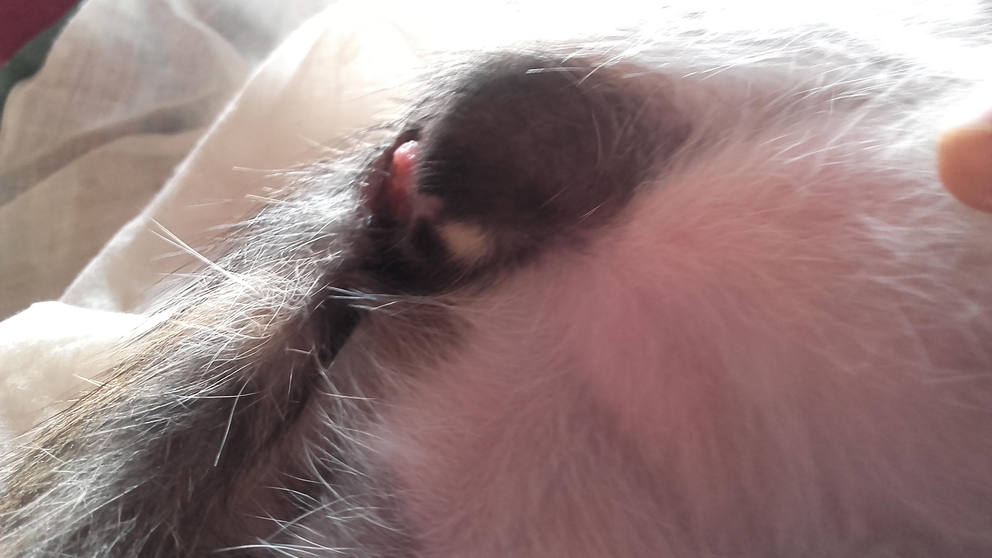 Question details sensitive content