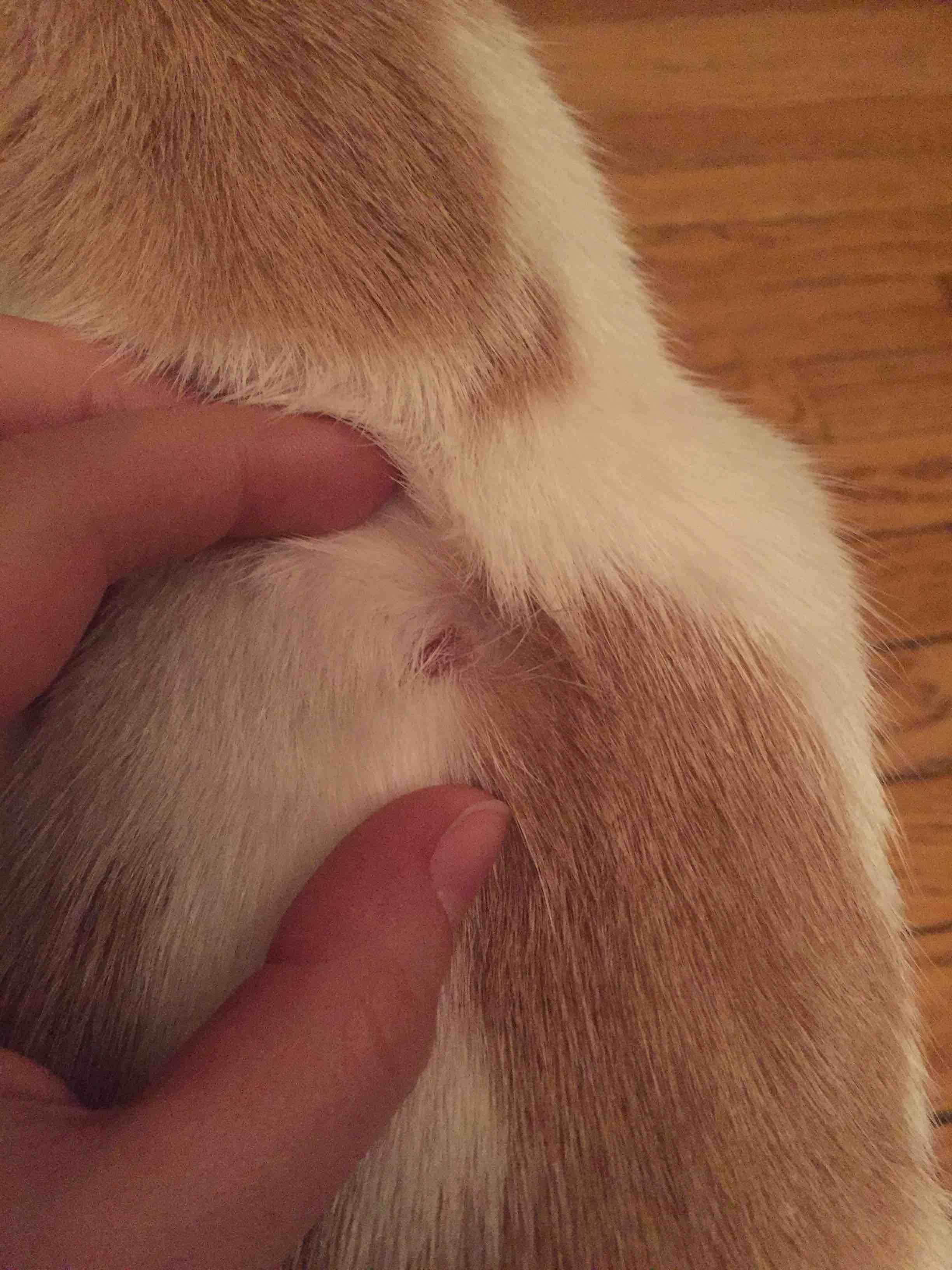 Question details sensitive content