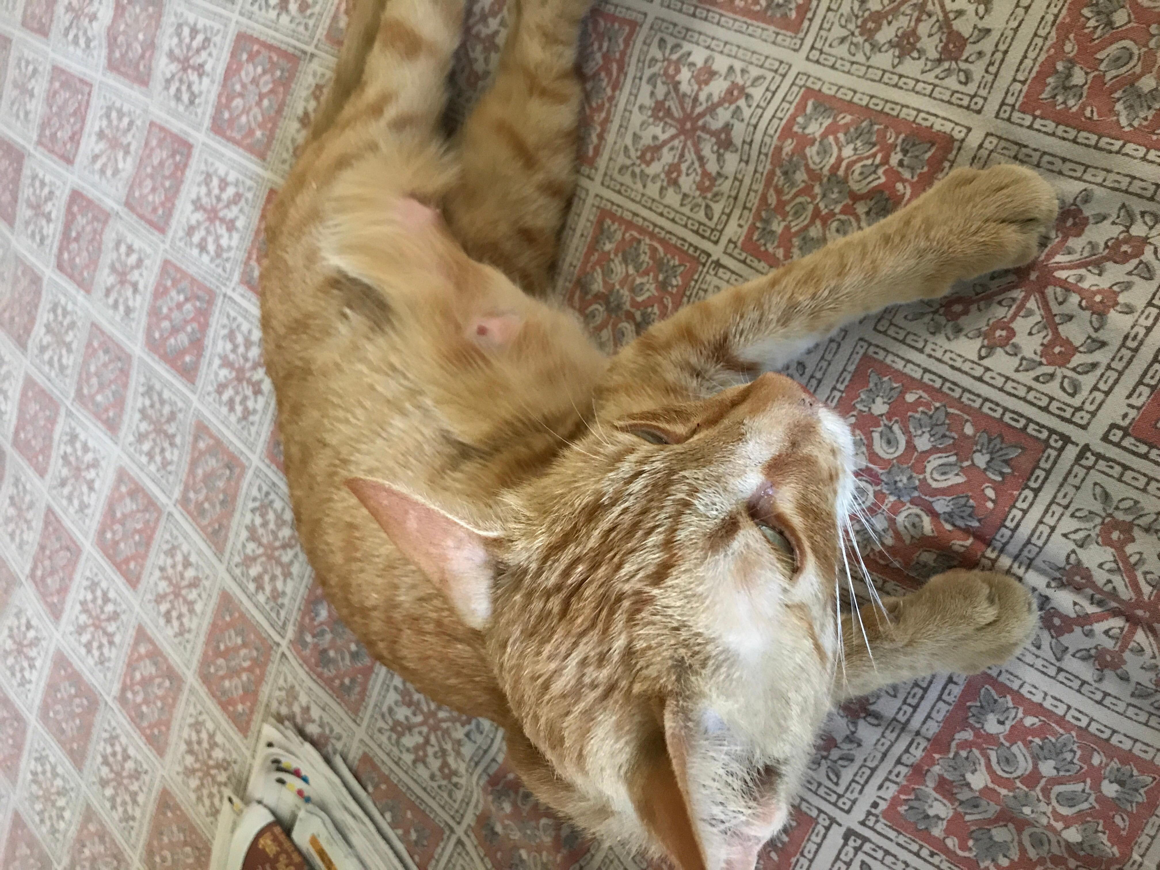 Question details sensitive content