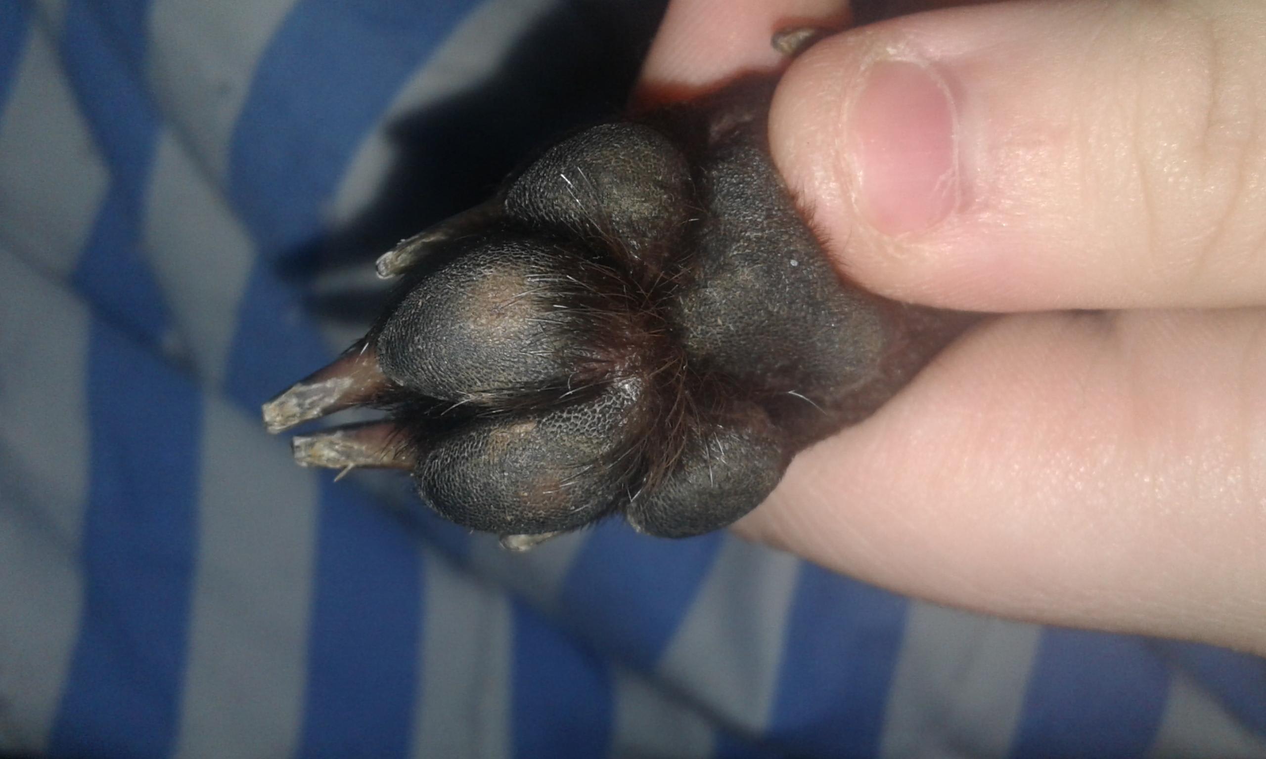 Question details sensitive content