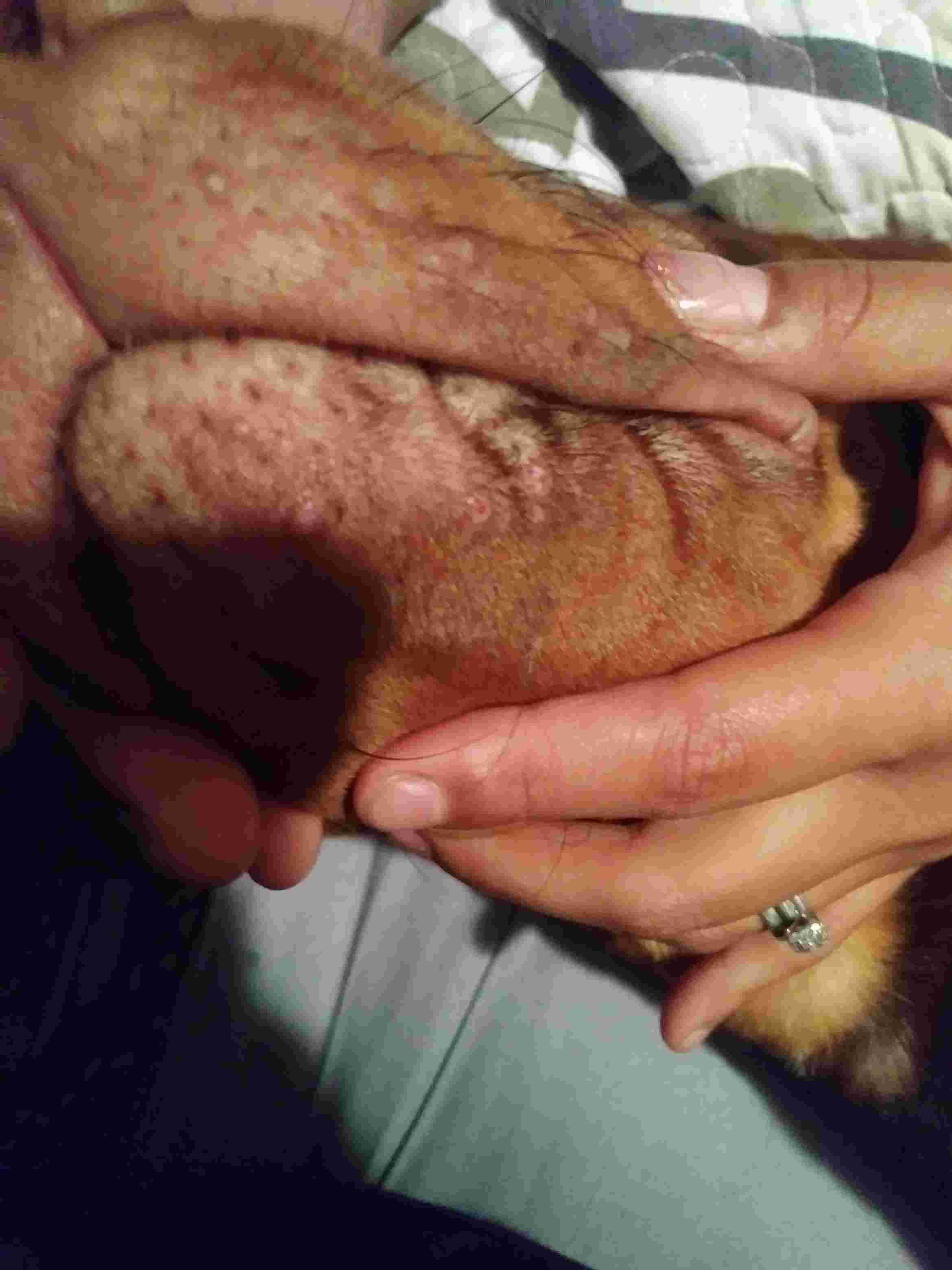 Question details sensitive content