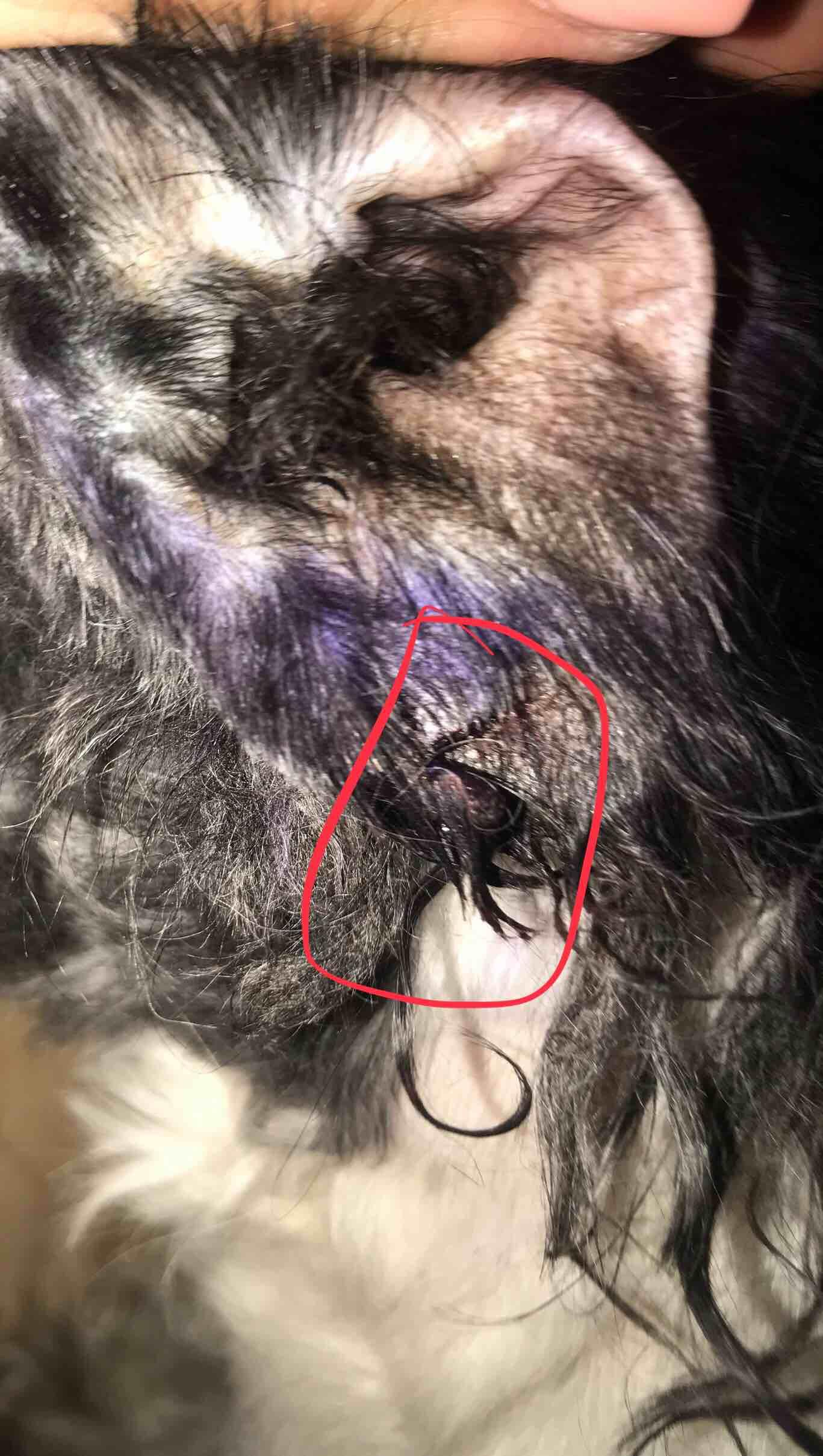 Question details sensitive content