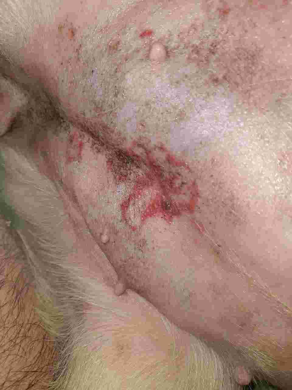 Question details sensitive content