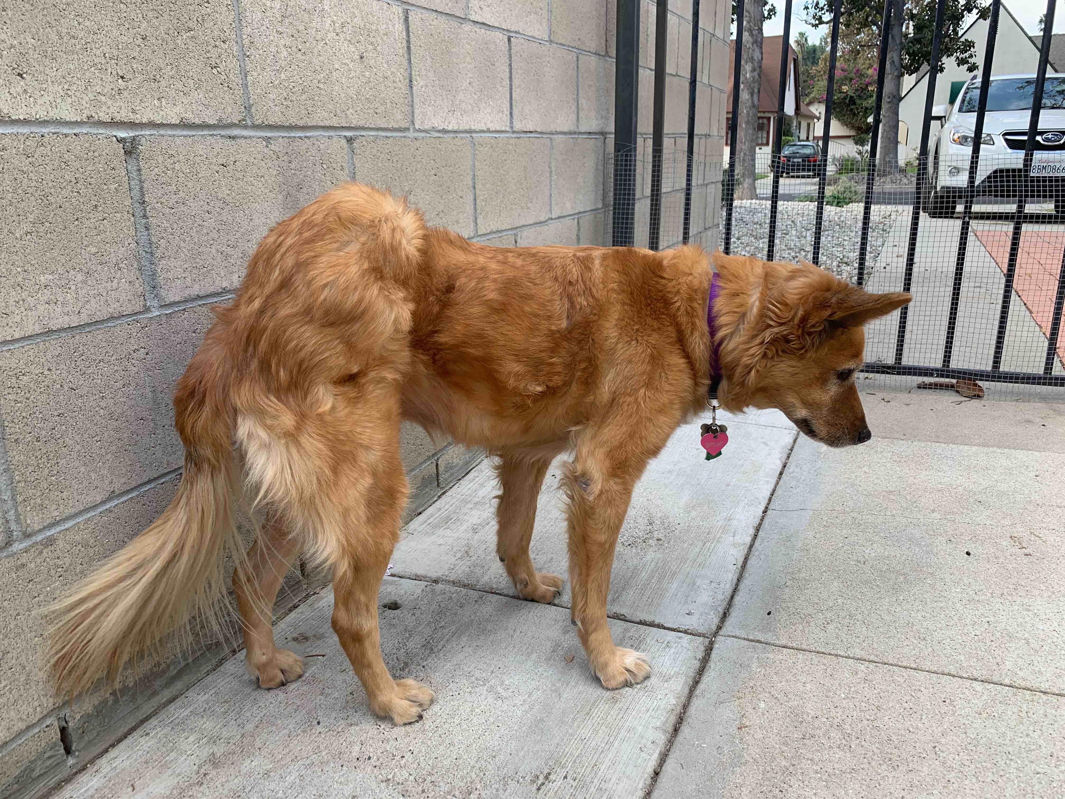 Question details sensitive content